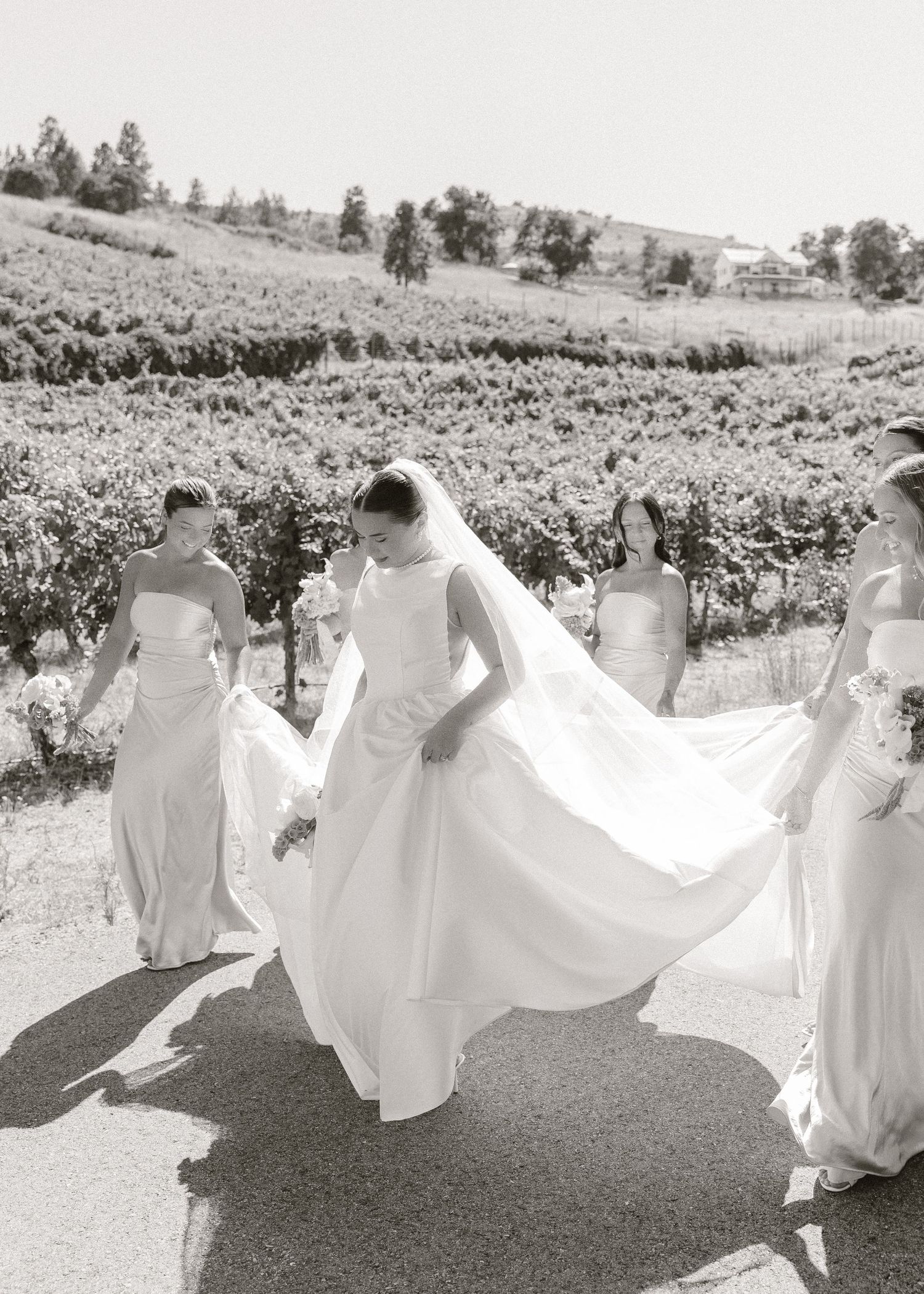 Bride in white gown walks with bridesmaids through vineyard in black and white wedding photo.