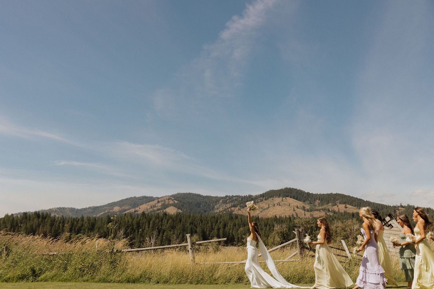 Wedding party poses in a scenic mountain meadow with blue skies and evergreen trees in the background.