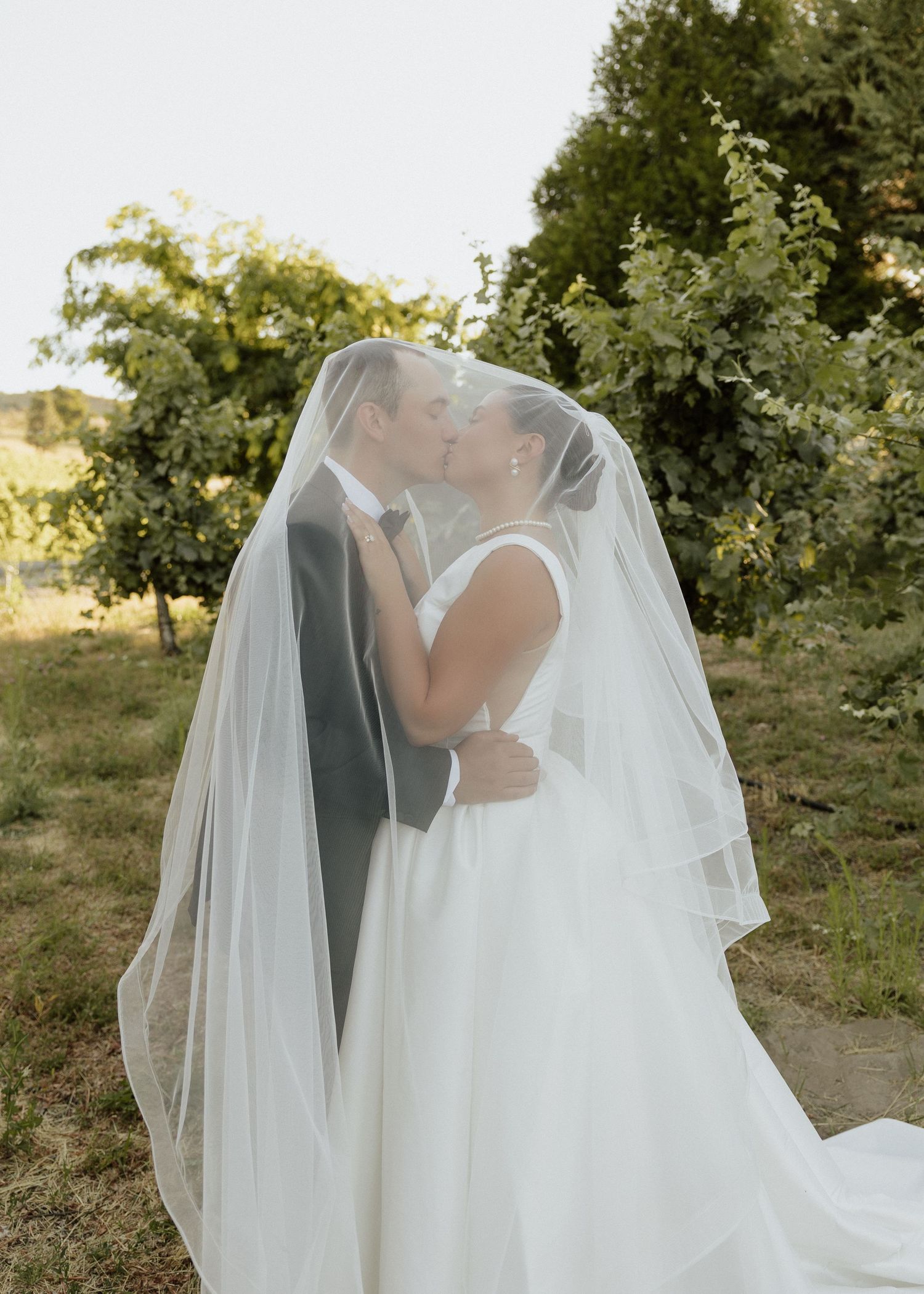Bride and groom share a kiss under a flowing white veil in a lush vineyard on their wedding day.