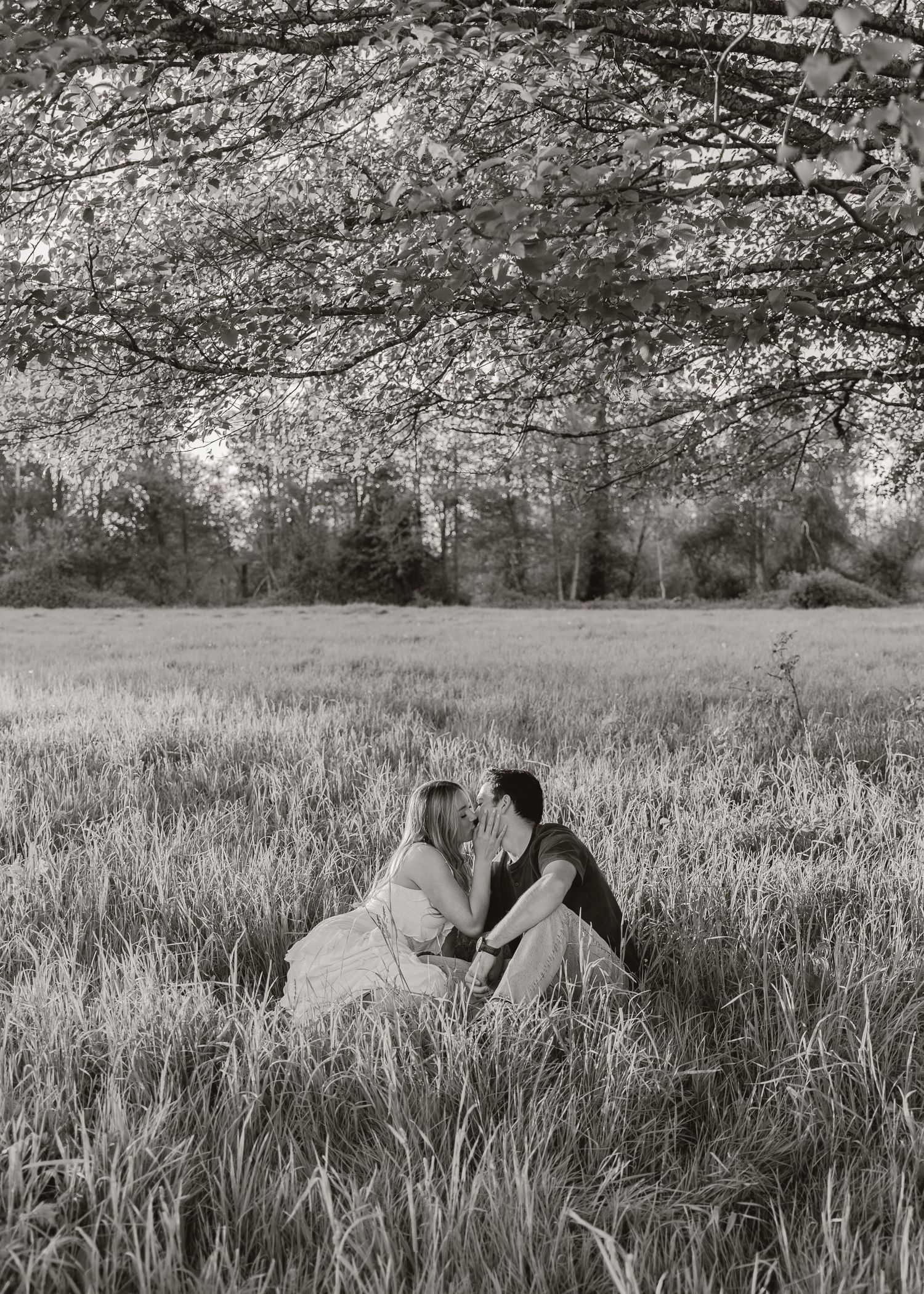 Black and white photo of a couple sitting in a grassy field sharing a kiss under blooming tree branches.