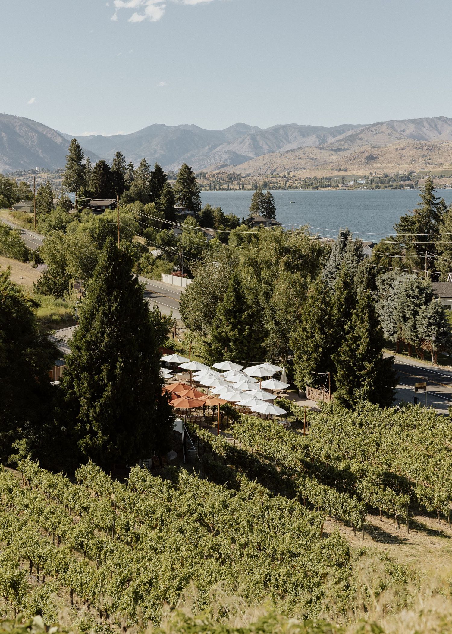 Aerial view of a winery venue with vineyards, umbrella-shaded patio, tall trees, mountains, and a lake.