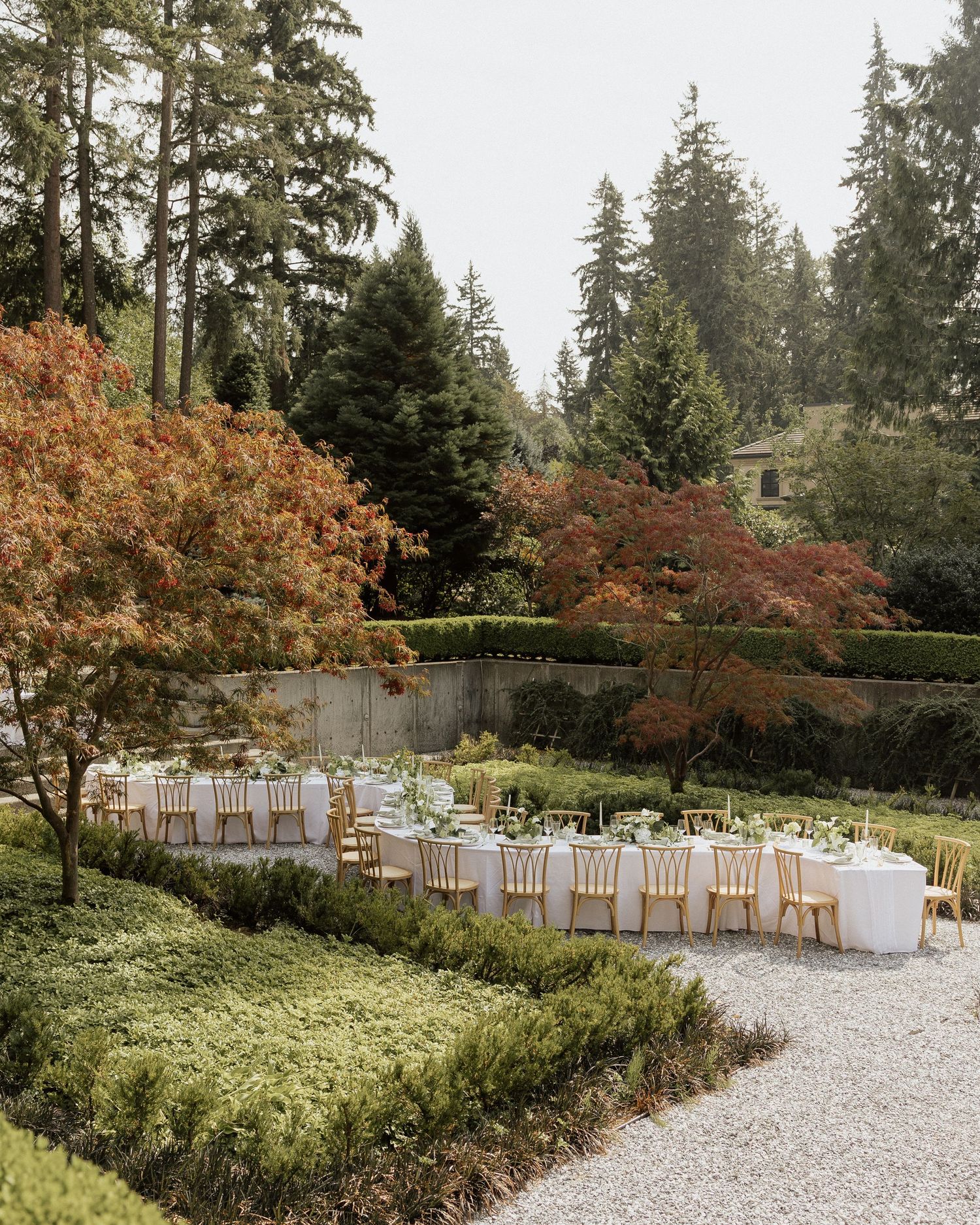 Elegant outdoor wedding reception with long tables set among Japanese maples and evergreen trees in a lush garden setting.