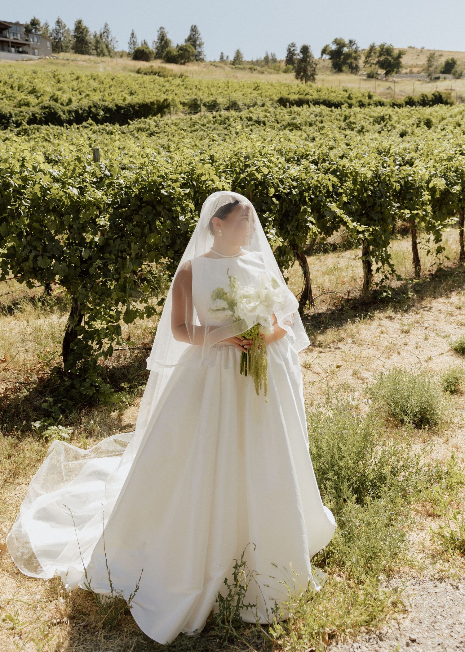 Bride in elegant white ball gown and veil holding white bouquet, standing before lush vineyard rows on sunny day.