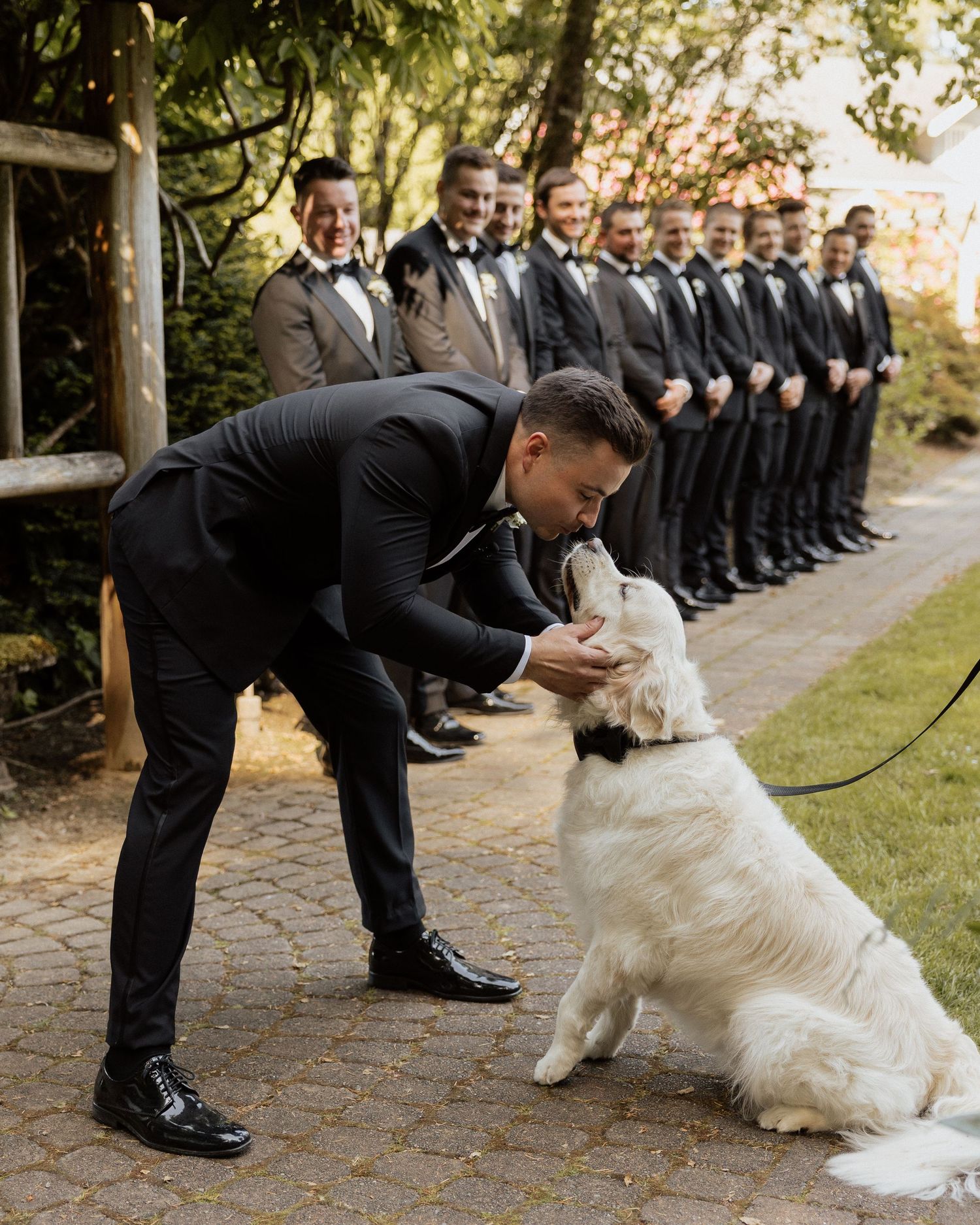 Groom in black tuxedo kisses white dog while groomsmen line up on brick path at outdoor wedding.