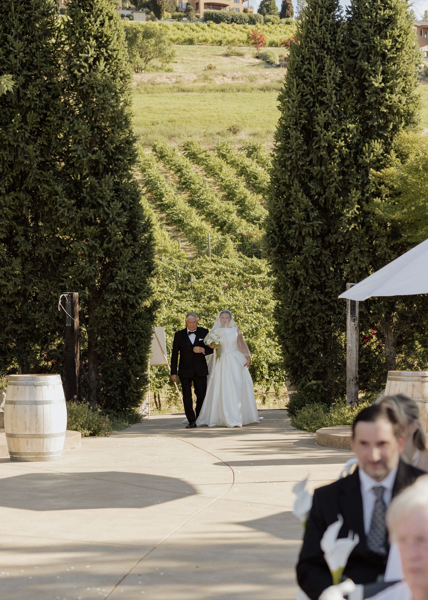 Bride in white gown walks with escort through cypress tree lined path at vineyard wedding venue.
