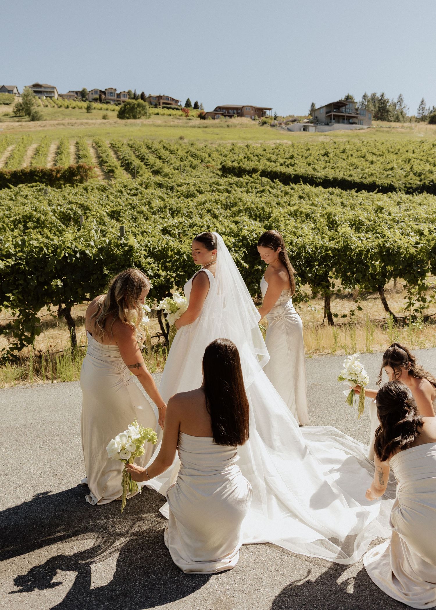 Bridesmaids in ivory gowns arrange bride's veil and train near a lush vineyard on a sunny wedding day.