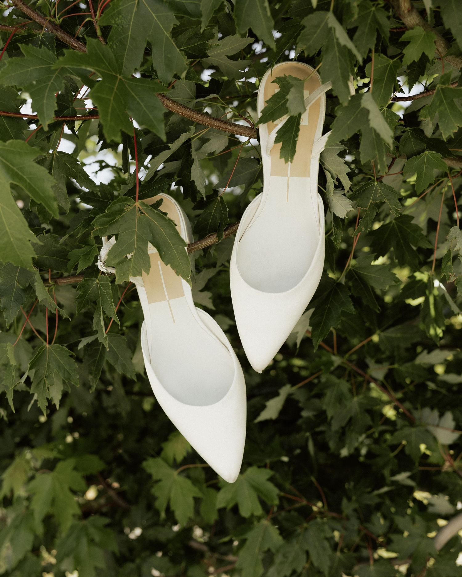 White paper lanterns hanging among green leaves create ethereal outdoor wedding decorations.