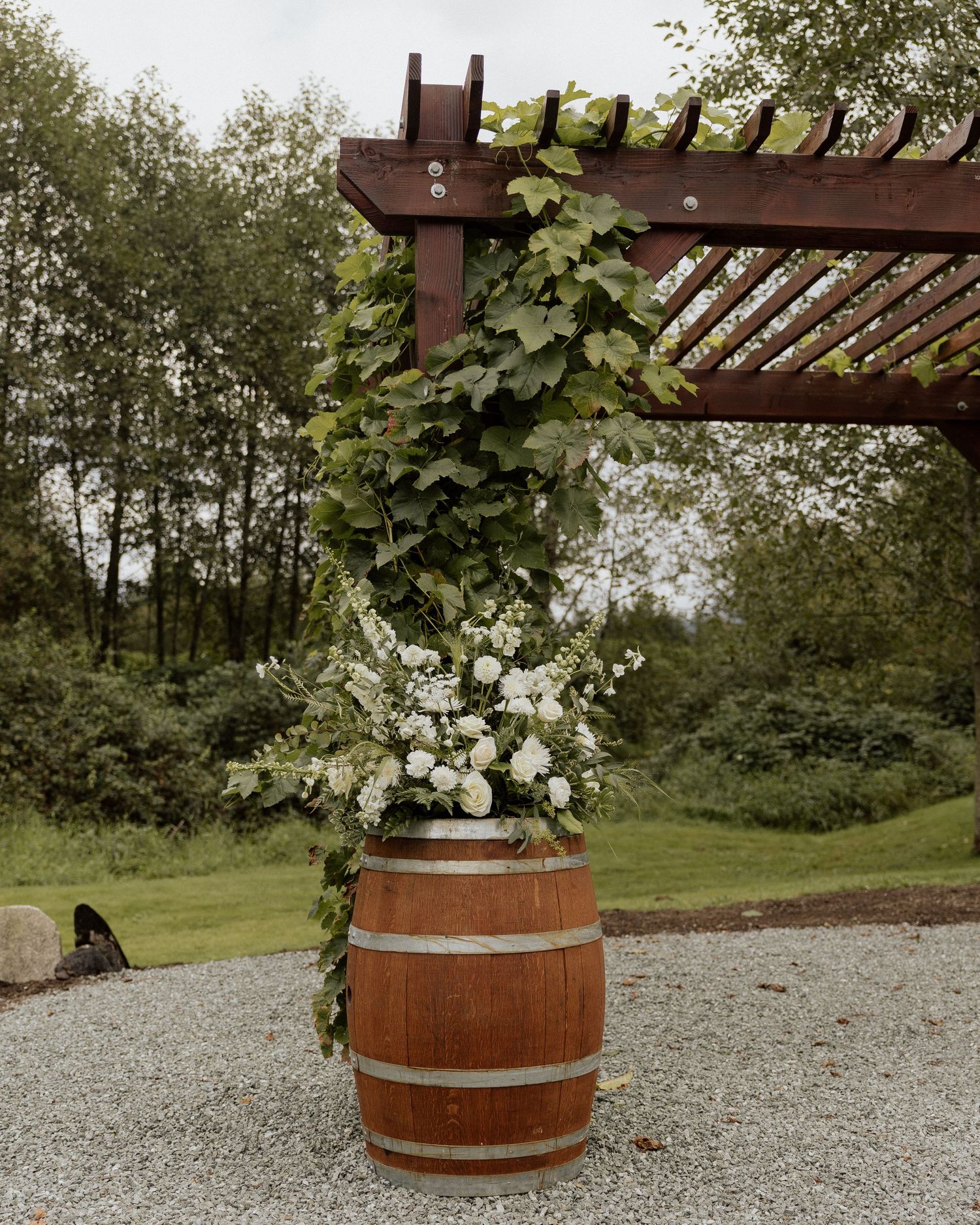White floral arrangement on rustic wine barrel under wooden pergola with climbing vines.