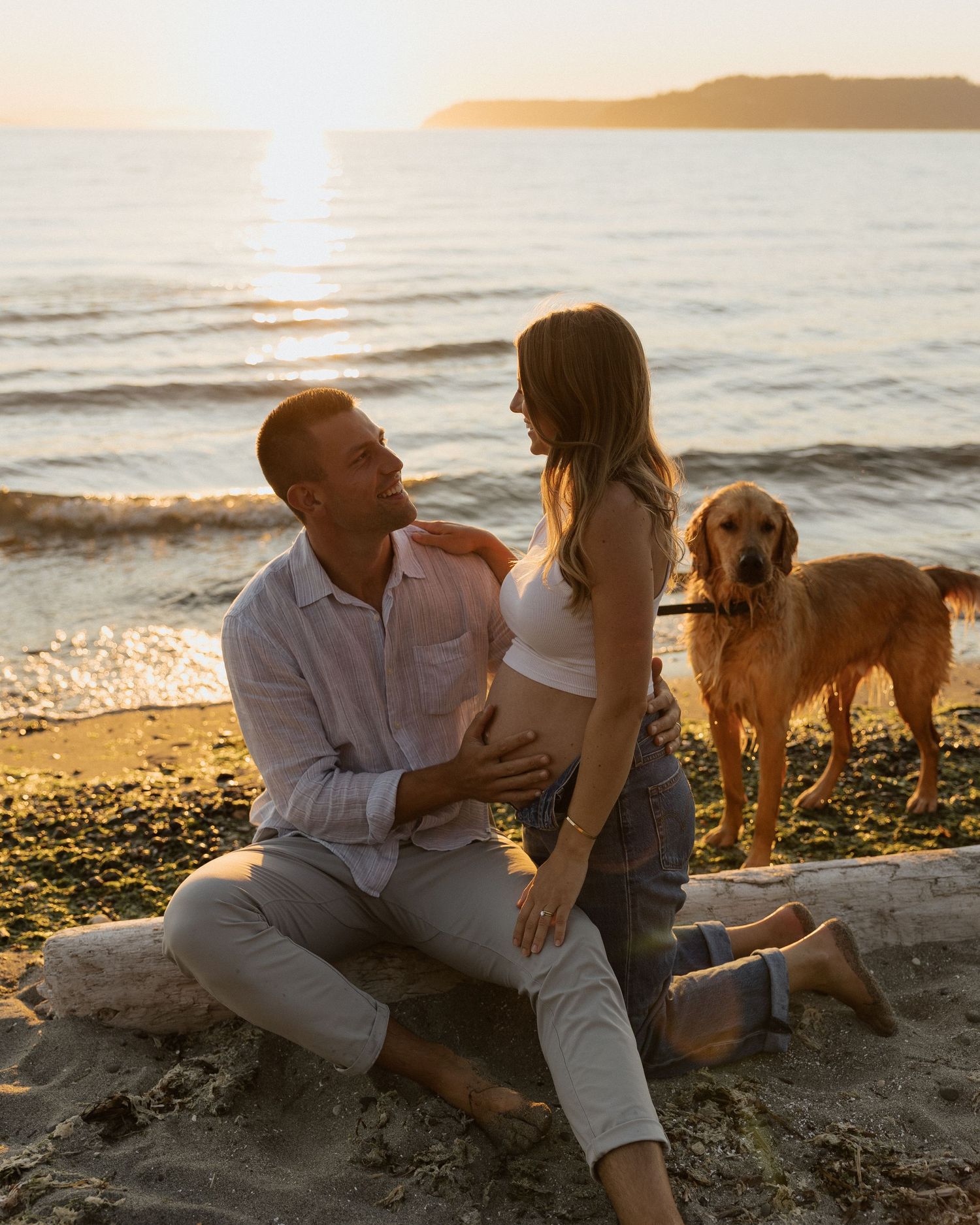 Expecting couple sits on beach log with golden retriever during sunset photoshoot.