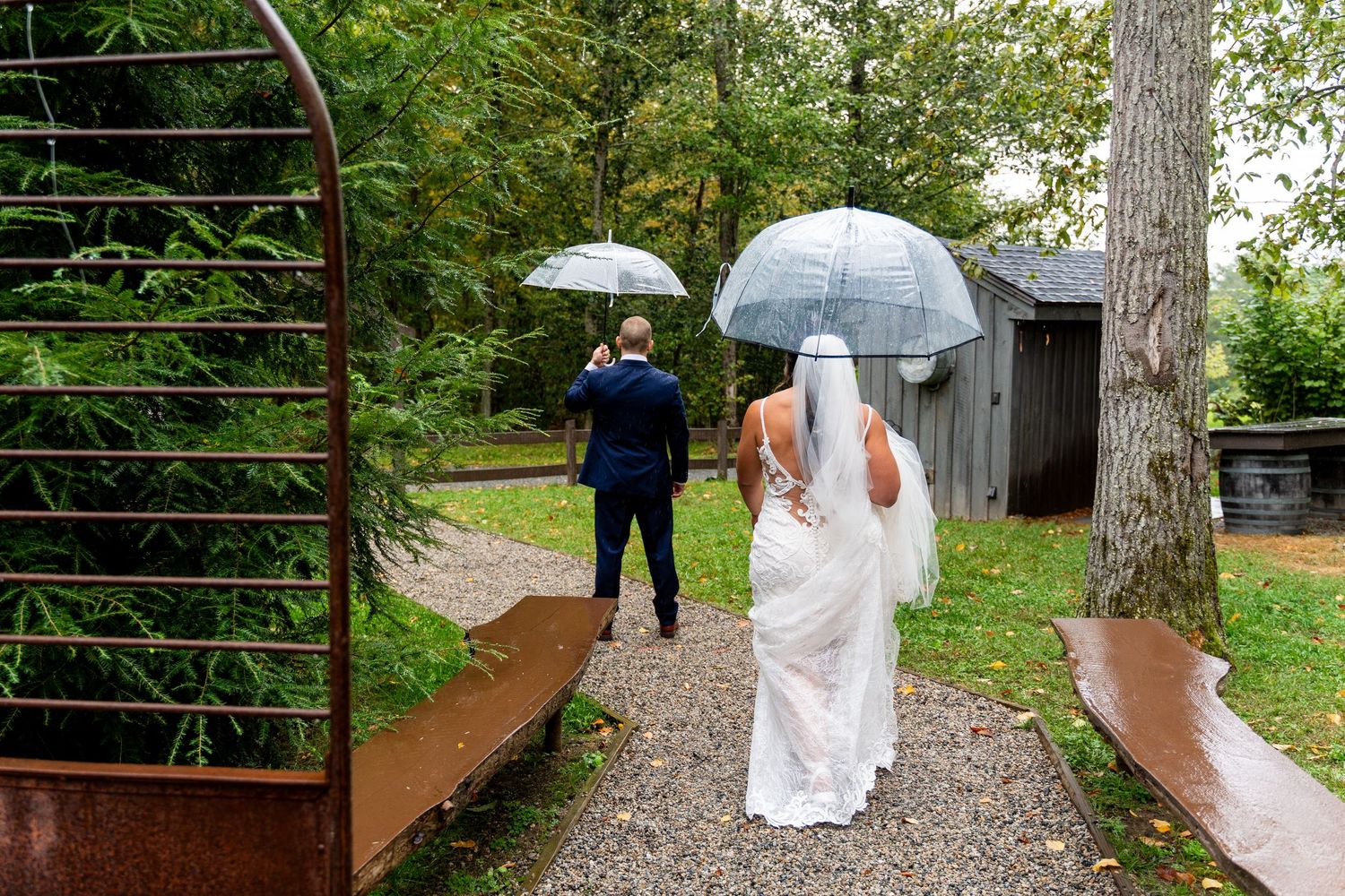 Wedding couple walking on path with clear umbrellas in rainy garden setting.