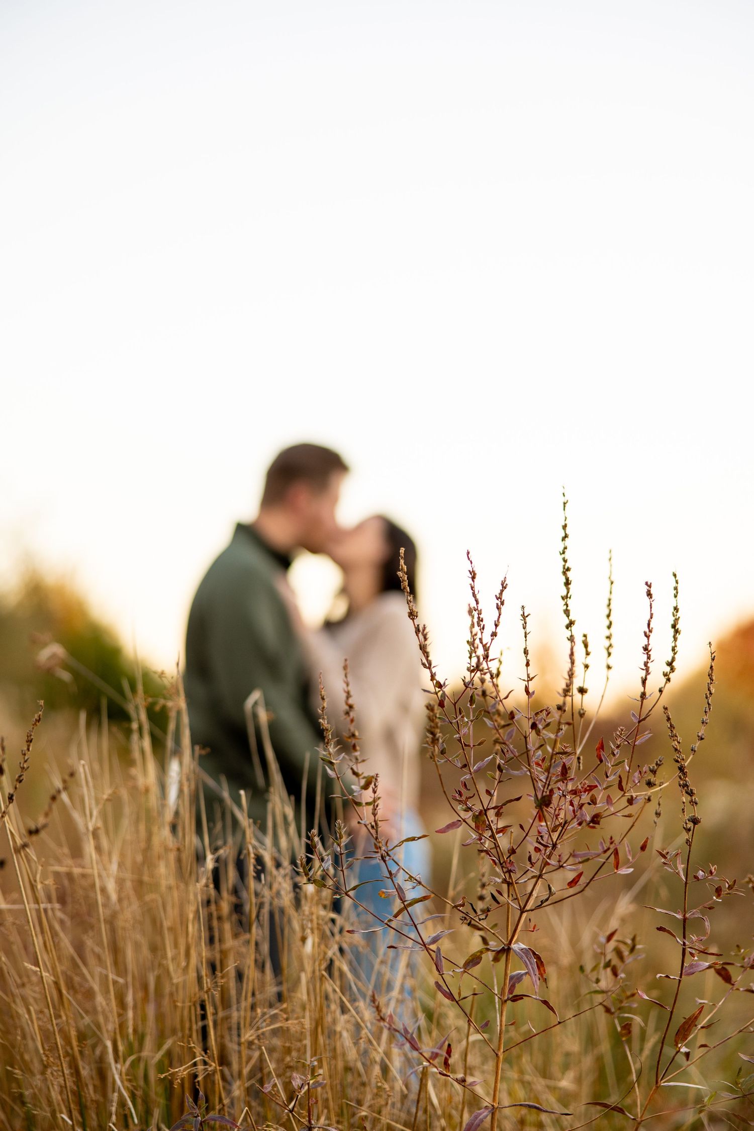 A romantic silhouette of a couple embracing among wild grasses at sunset.