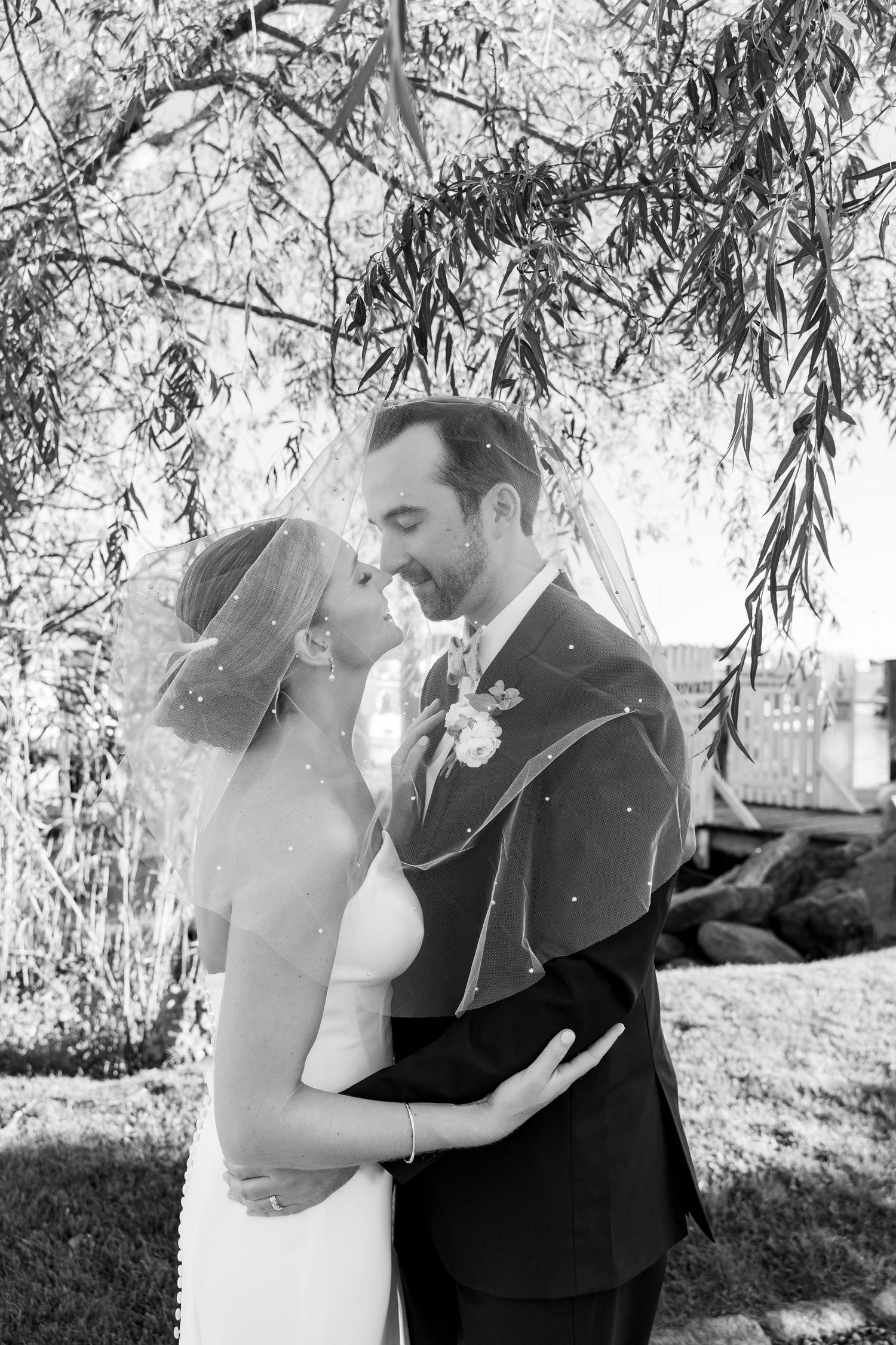 Black and white portrait of newlyweds embracing under willow tree.