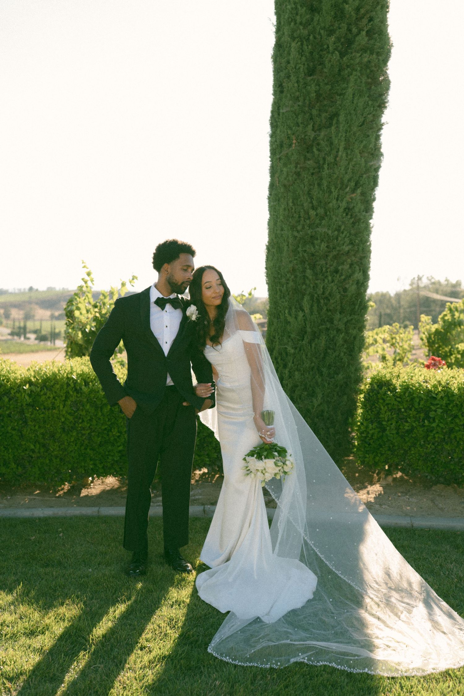 Elegant wedding couple posing by tall cypress tree in golden afternoon light.
