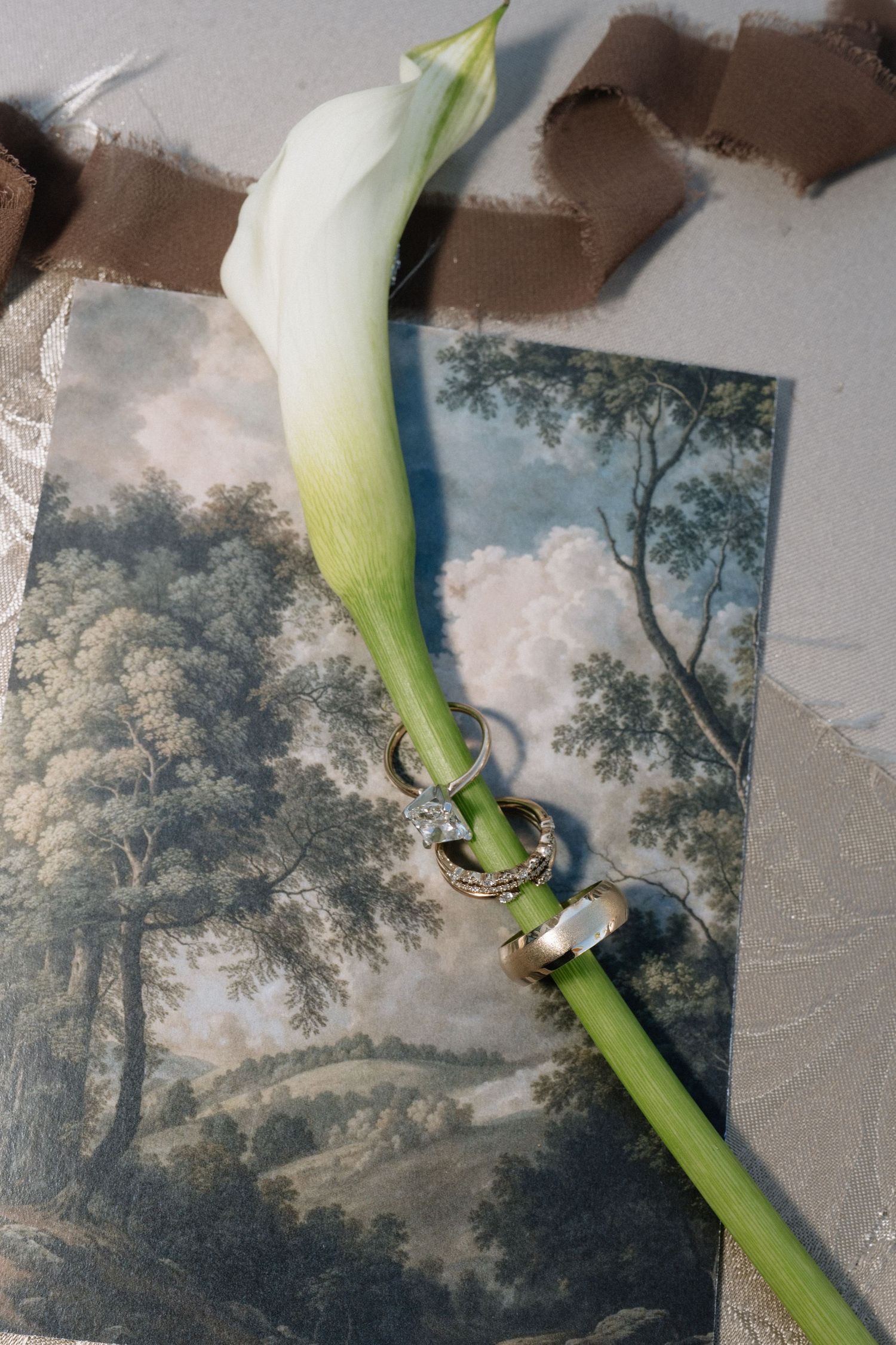 White calla lily stem placed artistically over a vintage landscape painting.