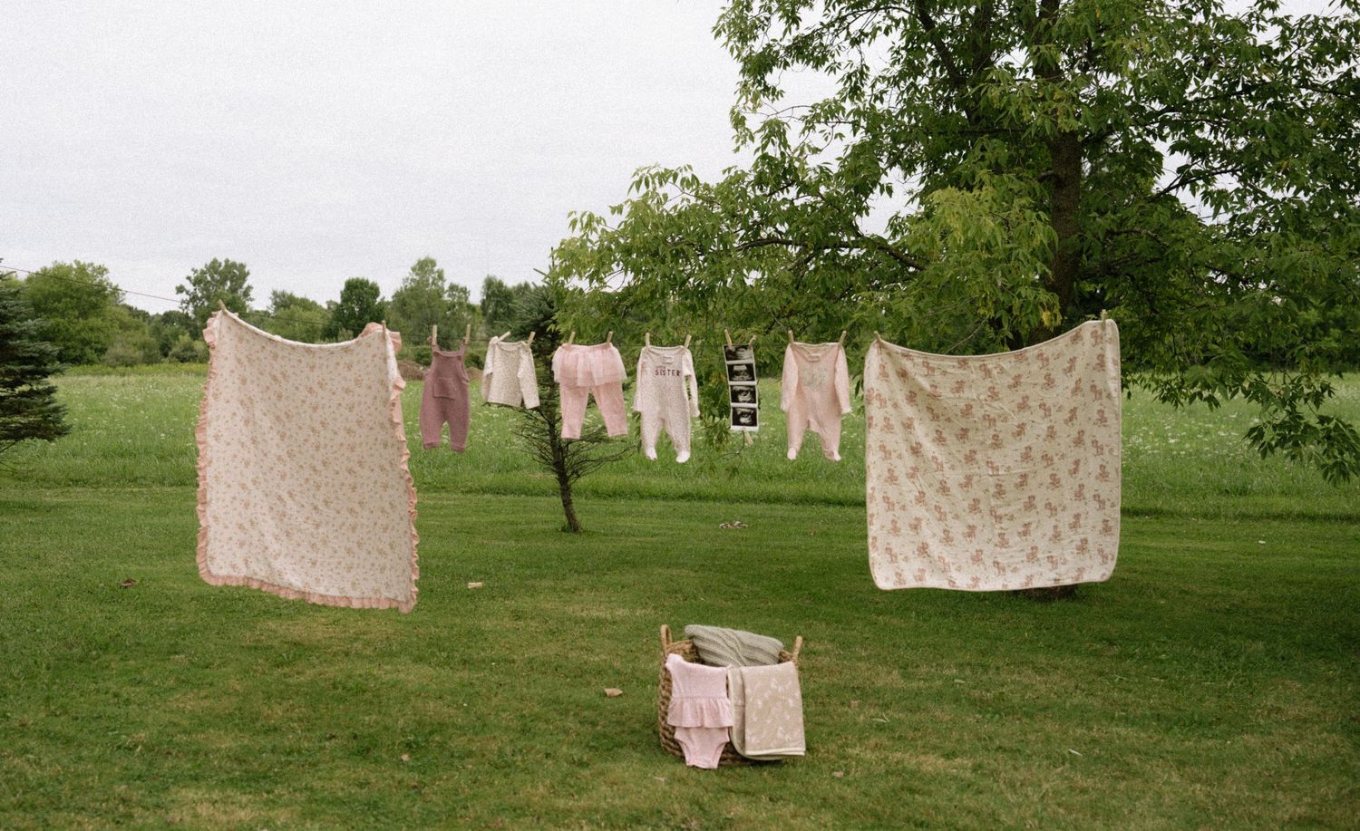 Delicate lace and fabric items hanging on a clothesline in a green field.