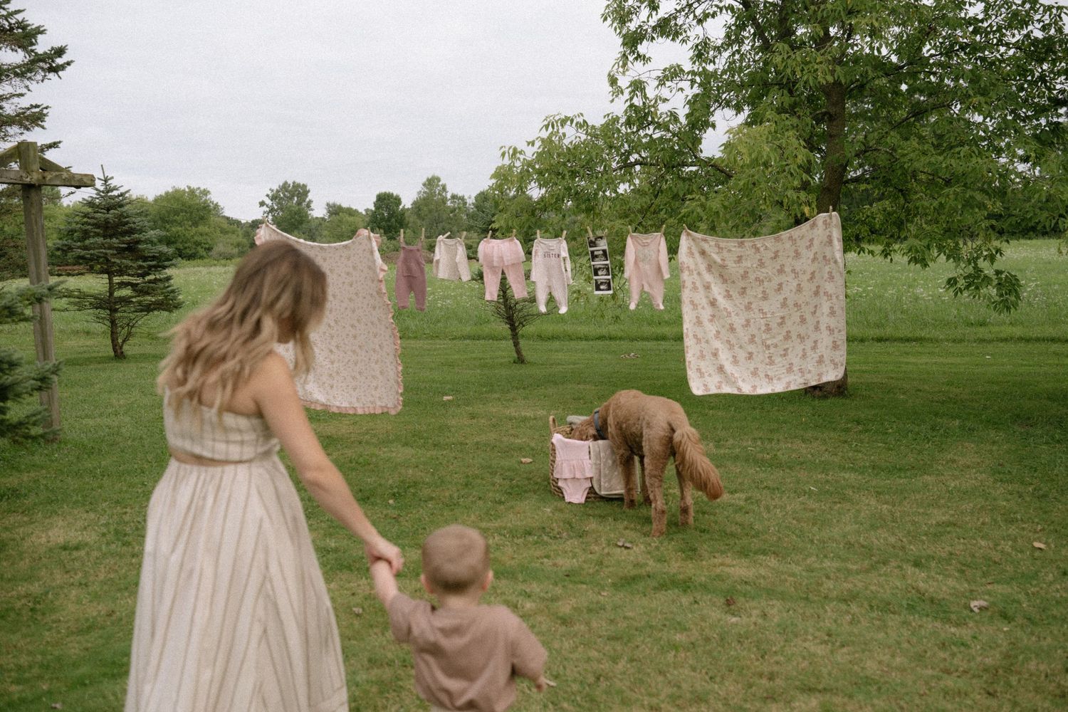 A peaceful scene with laundry hanging on clotheslines in a grassy field with a dog nearby.