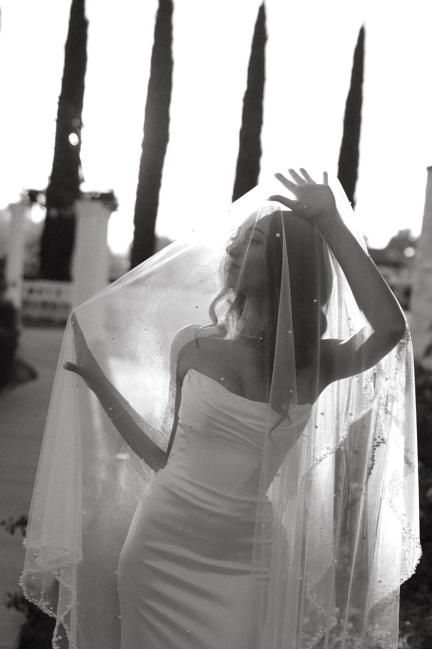 Ethereal backlit bridal portraits against cypress trees in black and white.