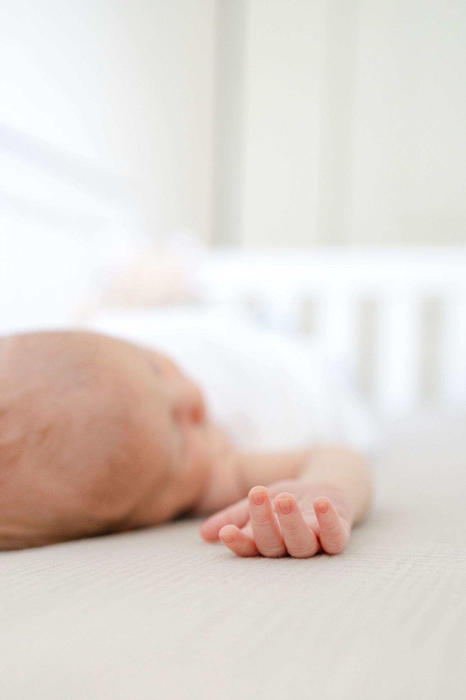 Palm Beach in home newborn Photographer