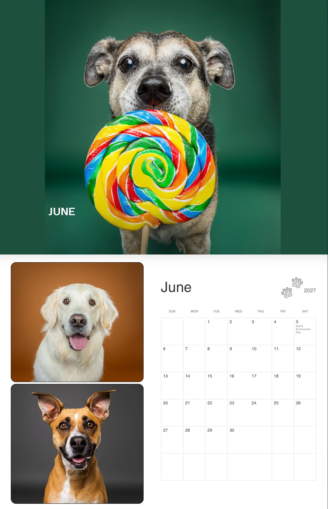 A dog holds a colorful rainbow lollipop in its mouth against a green background, featured in a June 2027 calendar.