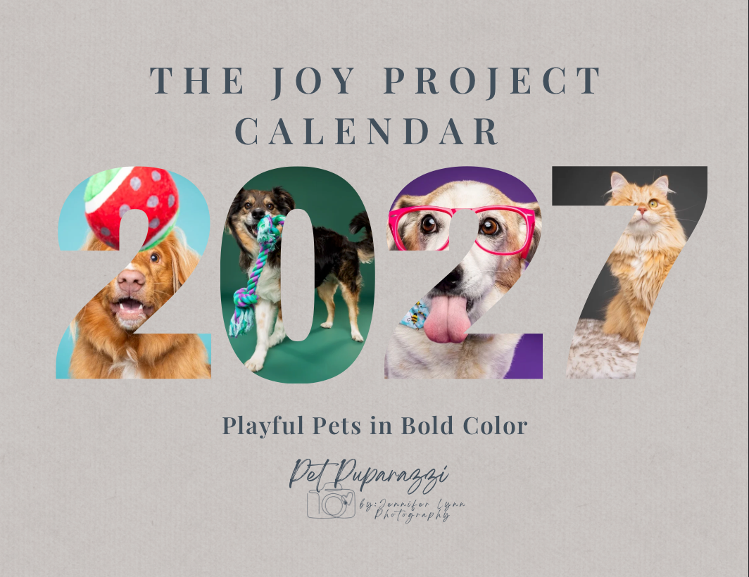 The Joy Project 2027 calendar featuring playful pets in bold color, with cute dogs and cats posing in vibrant photos.