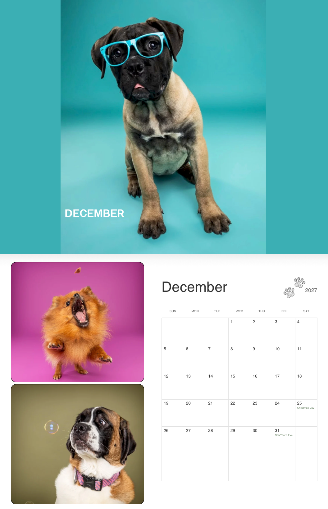 A cute boxer puppy wearing blue glasses poses for a December dog calendar with colorful dog photos and monthly grid.