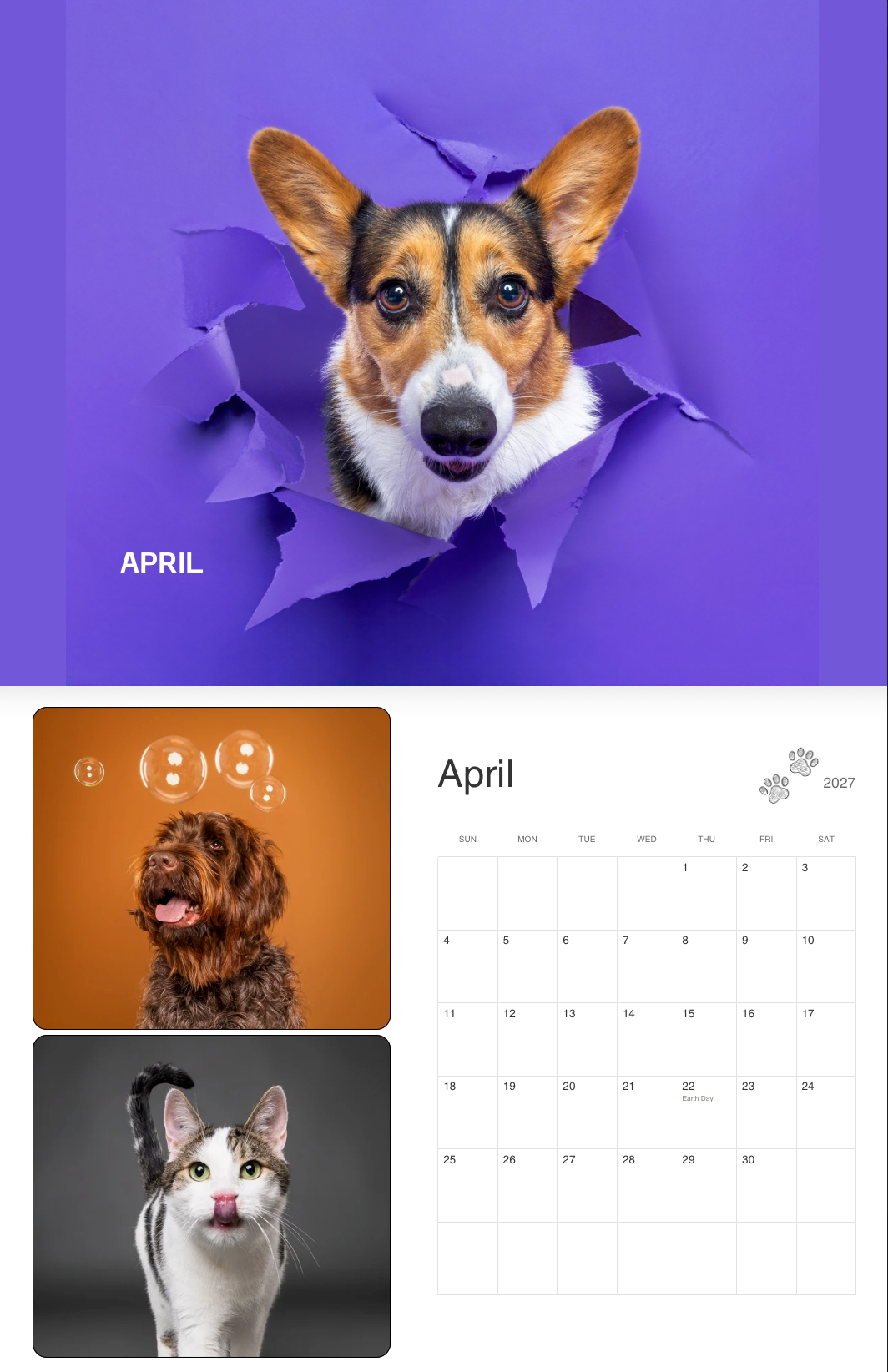 A cheerful Corgi dog bursting through purple paper on an April calendar featuring cute pet photos and a monthly grid.