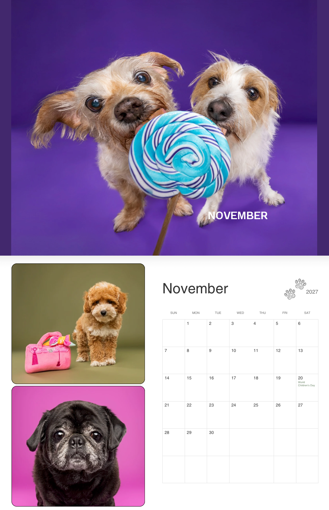 November dog calendar featuring two playful terriers sharing a lollipop, a fluffy poodle with a pink bag, and a black pug.
