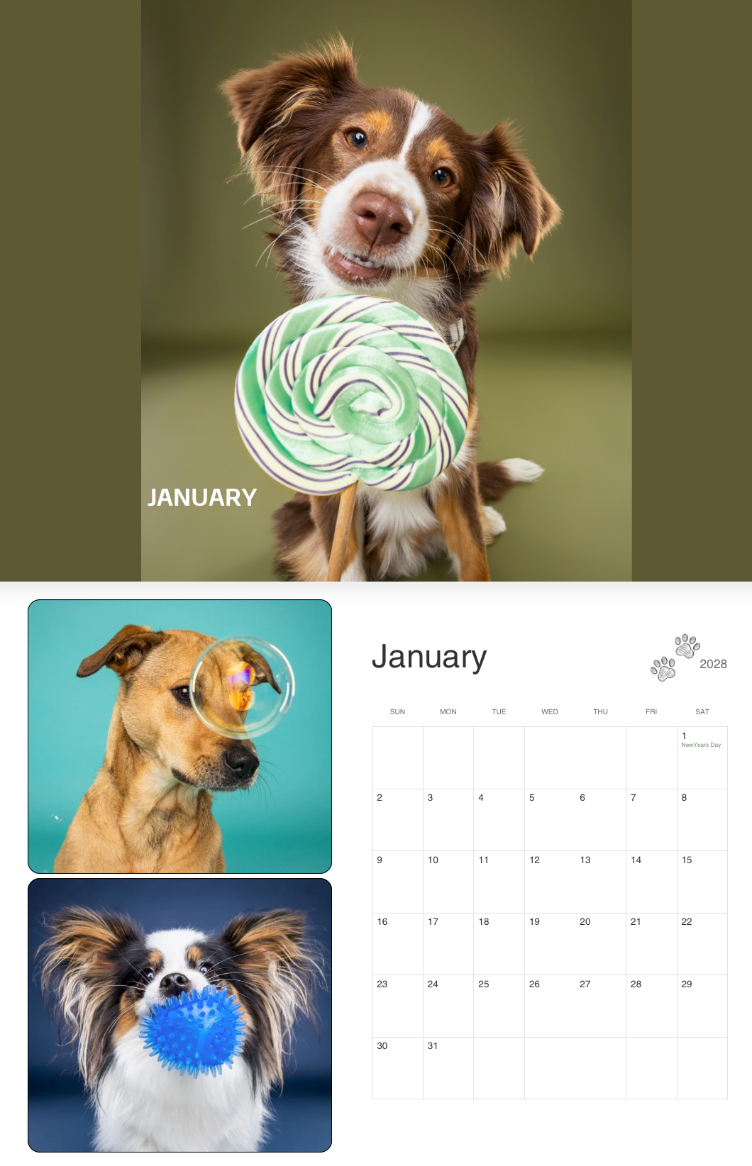 A dog calendar featuring a Border Collie with a lollipop, a dog with glasses, and a Papillon with a blue ball for January 2026.