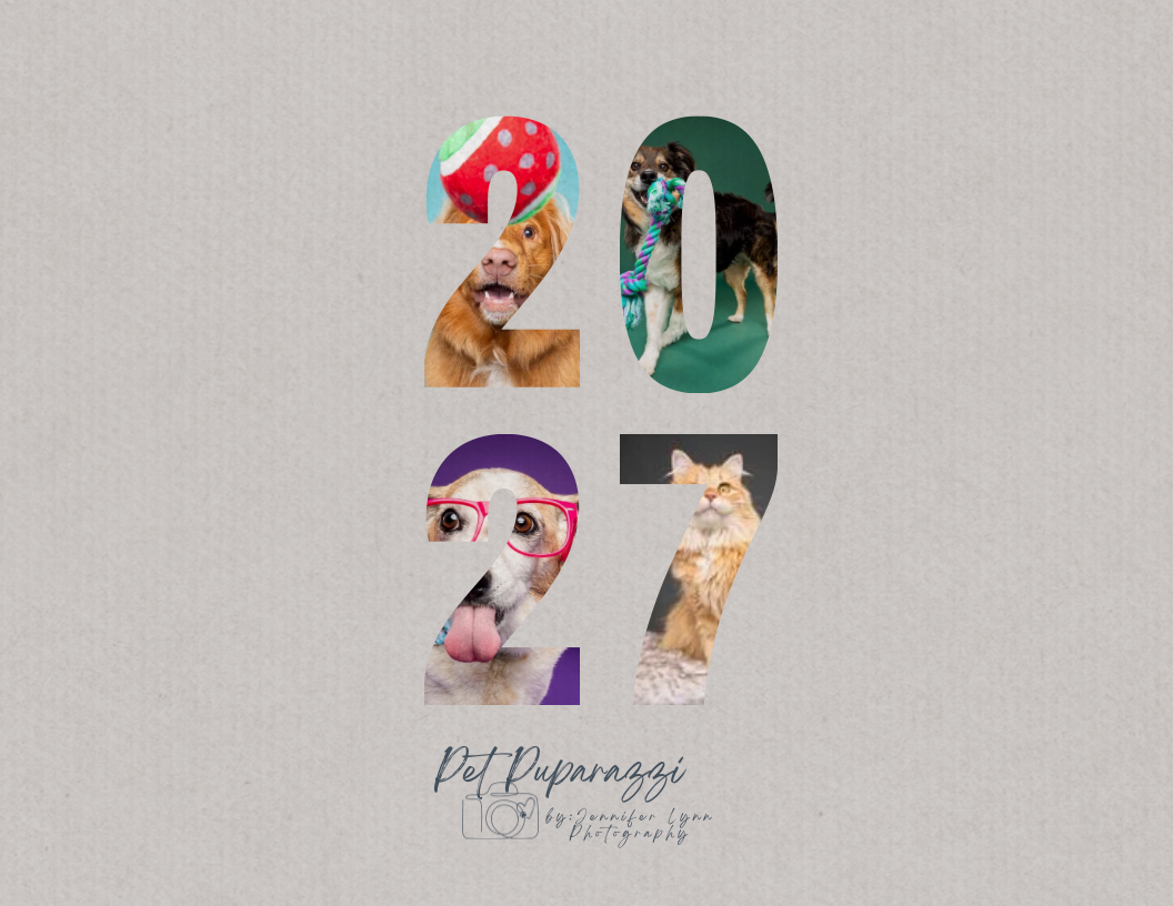 2027 Pet Paparazzi calendar cover featuring adorable dogs and cats displayed inside large number cutouts on gray background.