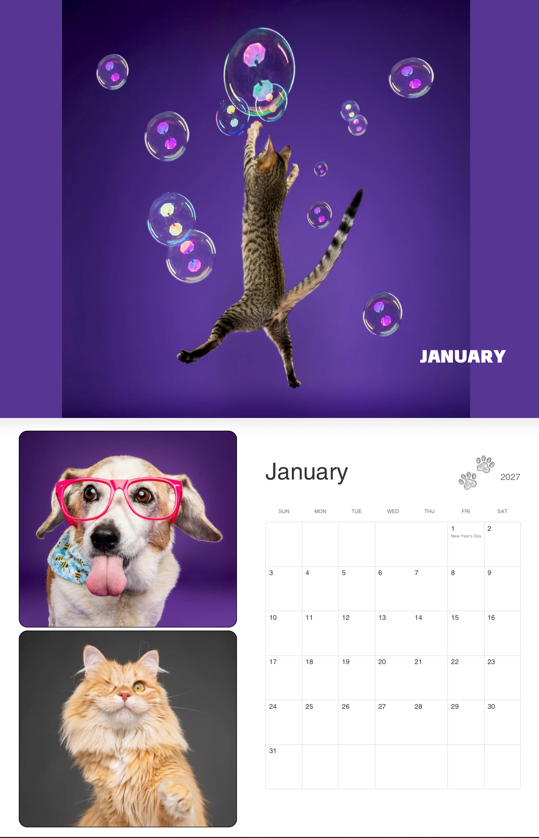 A 2027 January wall calendar featuring a leaping cat chasing bubbles on purple background, with a dog in glasses and orange cat below.