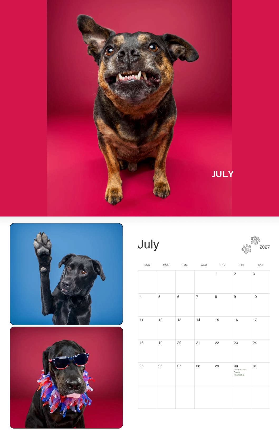 A dog calendar featuring July with a smiling brown dog, a black Lab raising its paw, and a dog wearing sunglasses and a floral lei.
