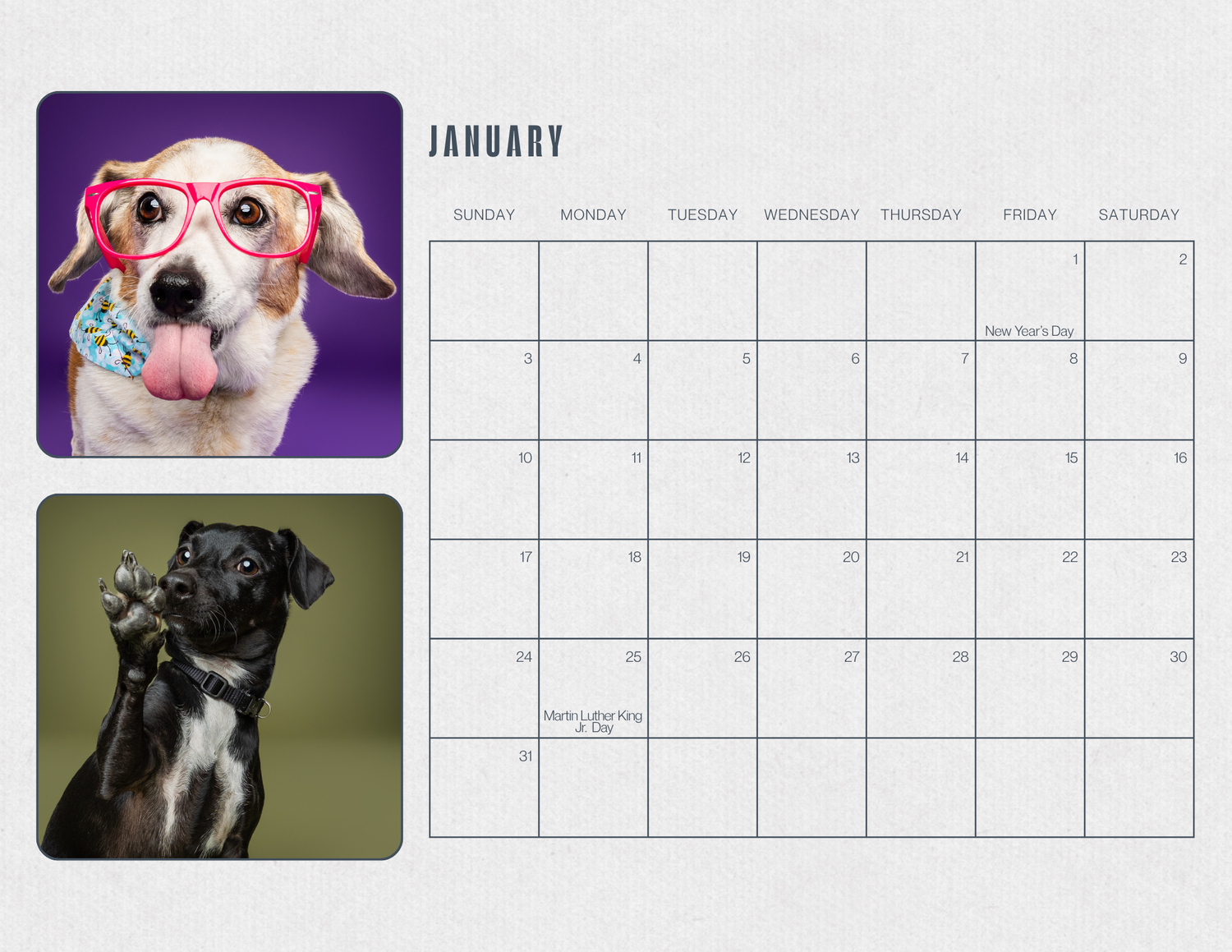 A January calendar featuring two cute dogs, one wearing pink glasses with a donut, and a black dog raising its paw.