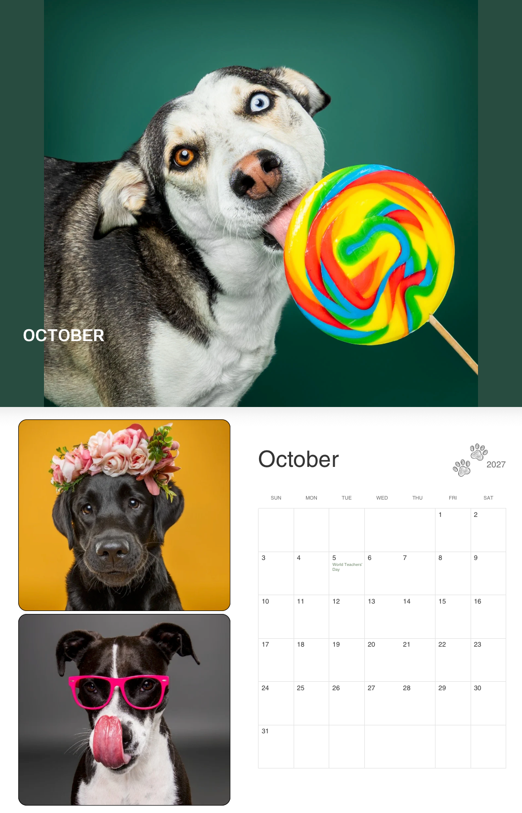 A husky dog licking a colorful rainbow lollipop featured in an October dog calendar with cute pet photos.