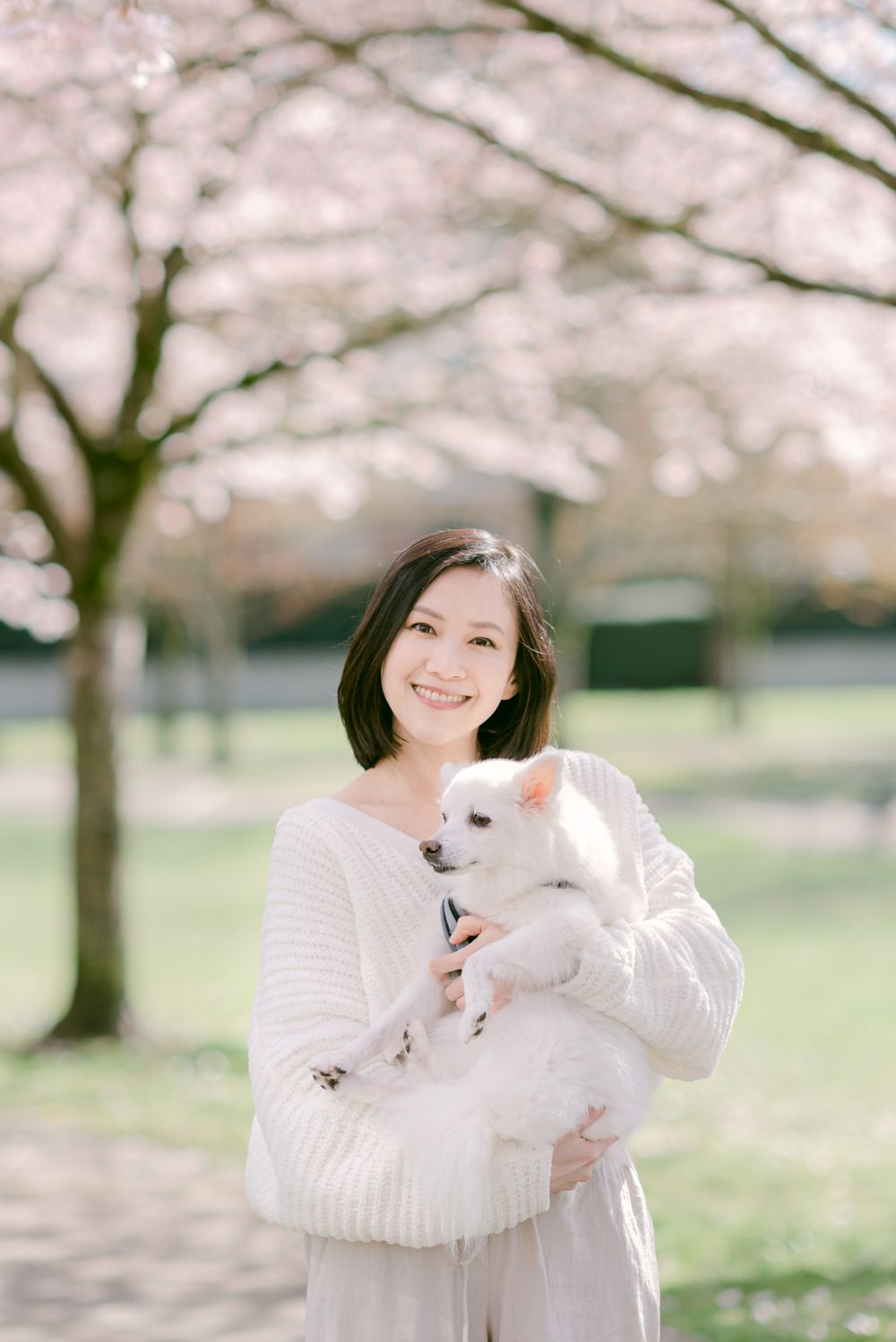 cherry blossoms portrait and pet photography in Vancouver
