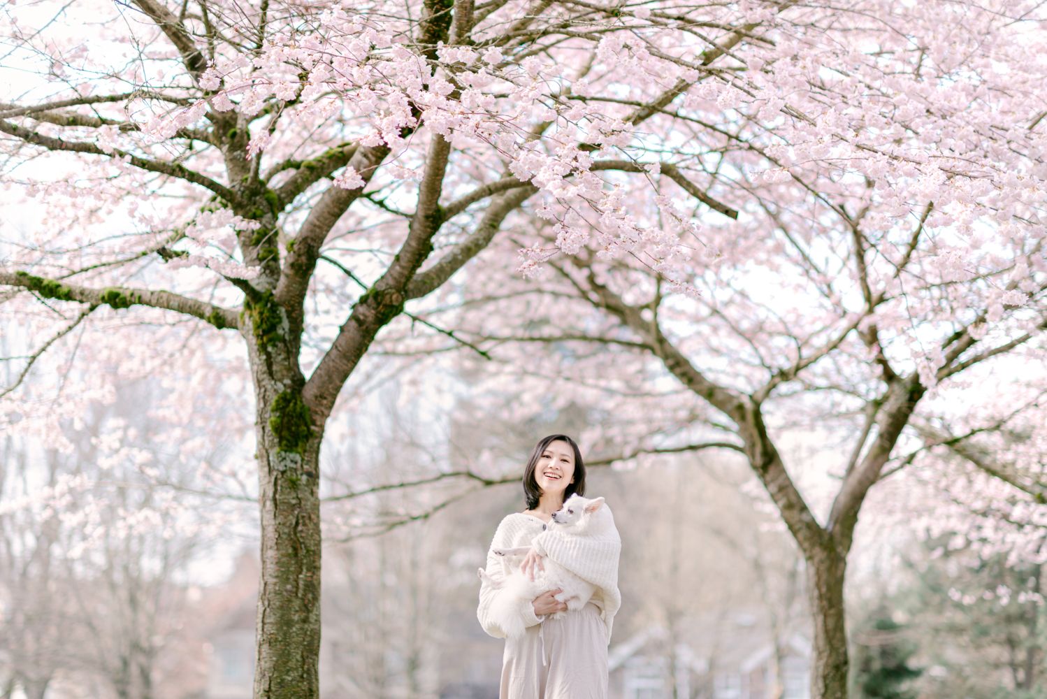 cherry blossoms portrait and pet photography in Vancouver