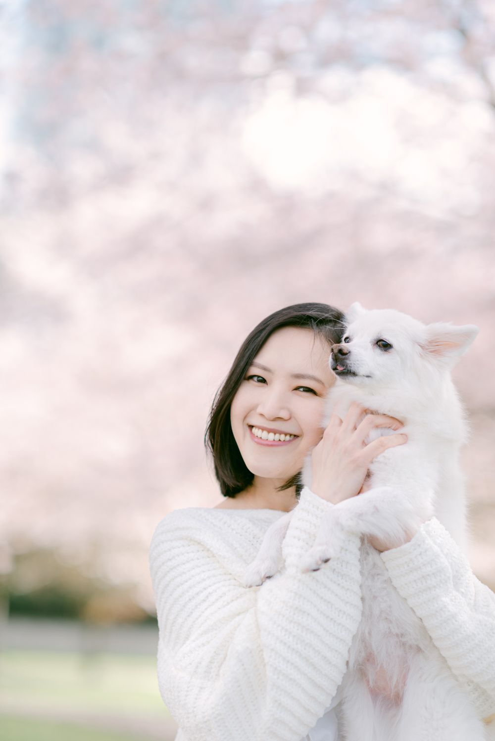 cherry blossoms portrait and pet photography in Vancouver