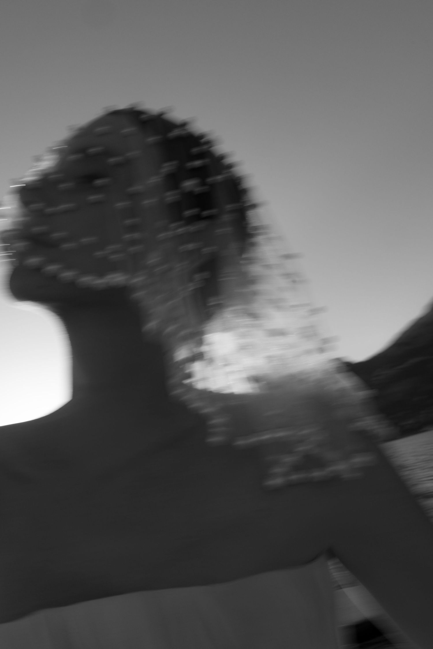 Blurry black and white motion blur portrait of a person outdoors against a grey sky.
