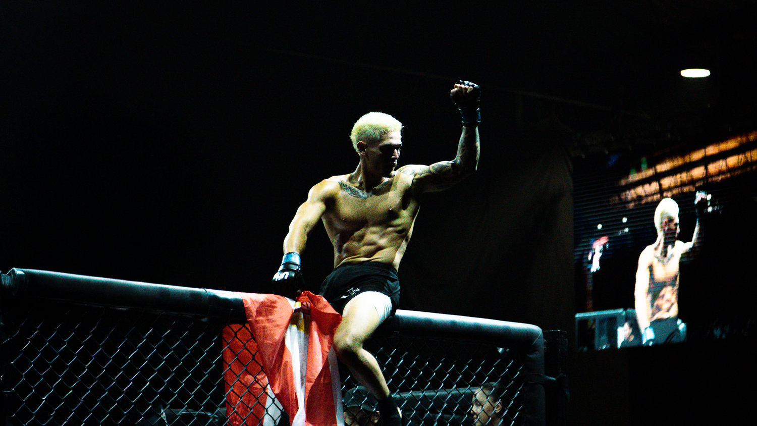 MMA fighter celebrating victory by climbing the octagon cage fence at a professional fight event.