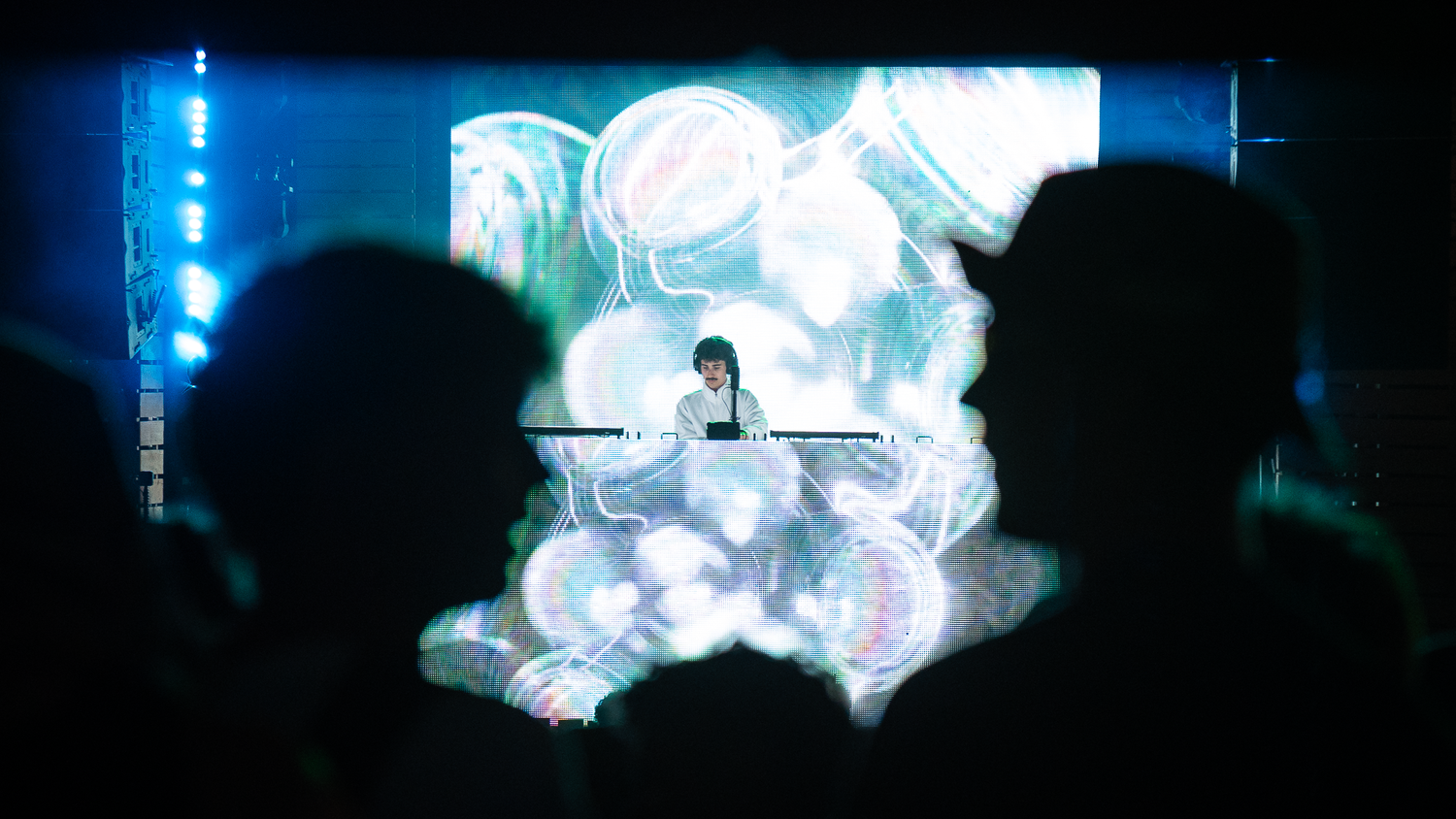 DJ performing on stage with a large jellyfish visual display behind them in a dark concert venue.