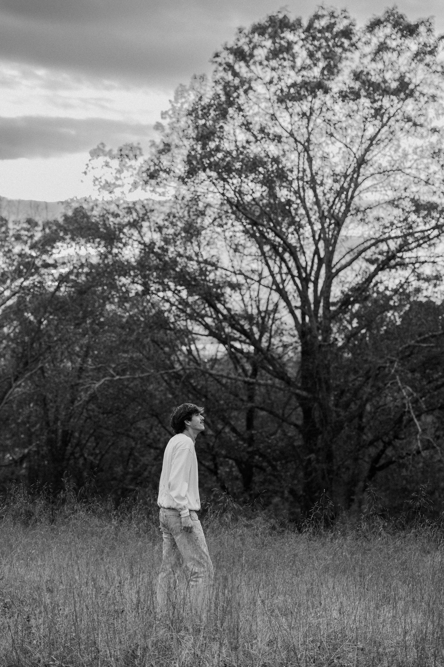 A sequence of black and white photos showing a person walking through a tall grass field with trees in the background.