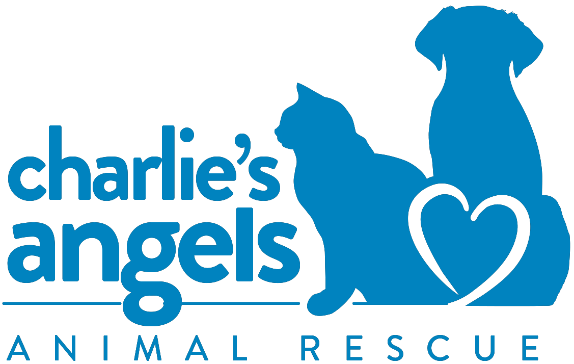 Blue silhouette logo design for Charlie's Angels Animal Rescue featuring a cat and dog with heart shape.