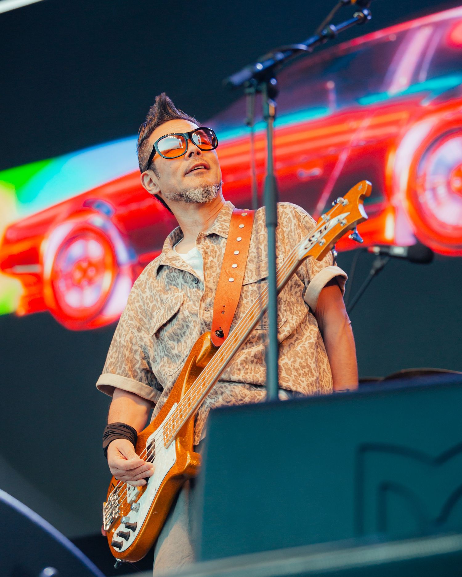 feeder at tunes on the bay. picsbyshannonjames & Shannon James Photography.
