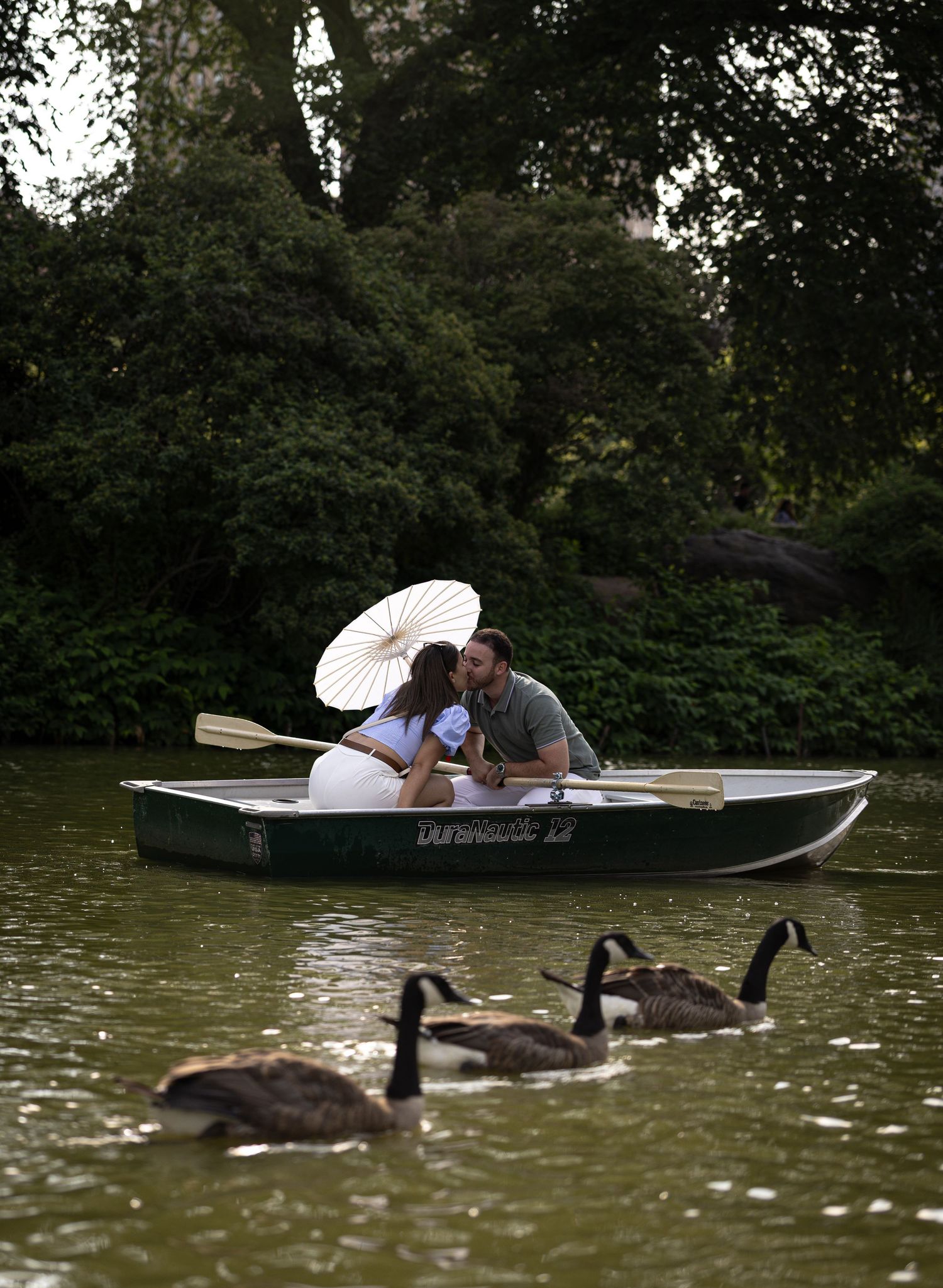 Romantic couple kissing in a rowboat on a lake, holding a parasol, with Canada geese swimming nearby in a lush park.