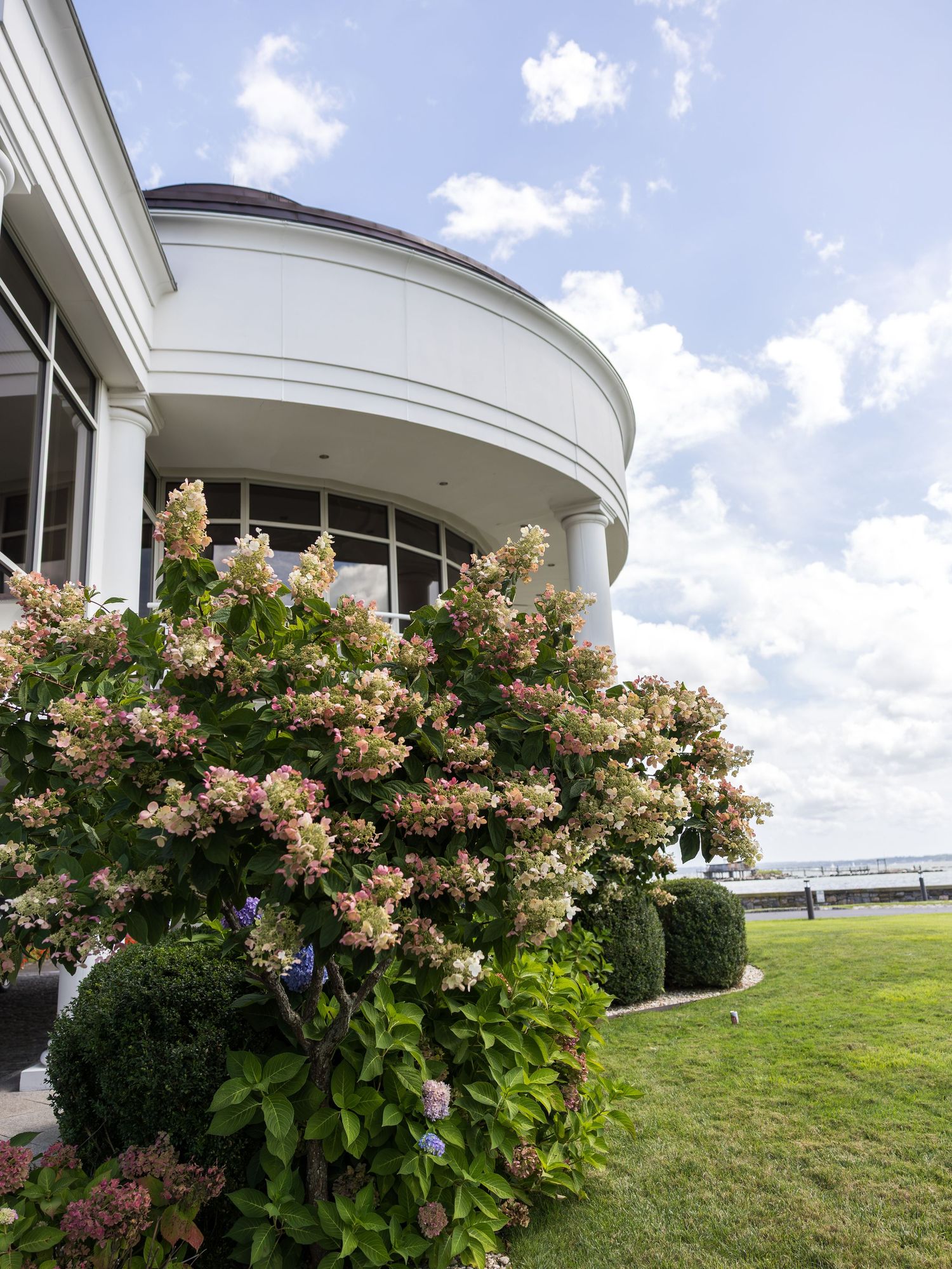 Elegant curved white wedding venue exterior with blooming hydrangea bushes and manicured lawn near waterfront in Glen Island, Bronx, NY