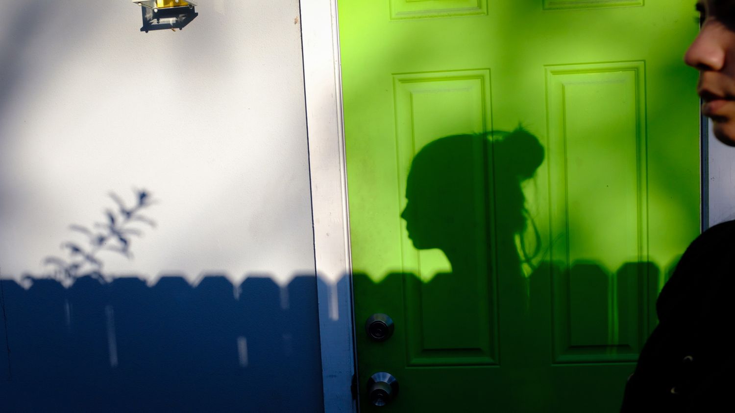 Shadow of a person cast on a bright green door beside a blue fence in sunlight.