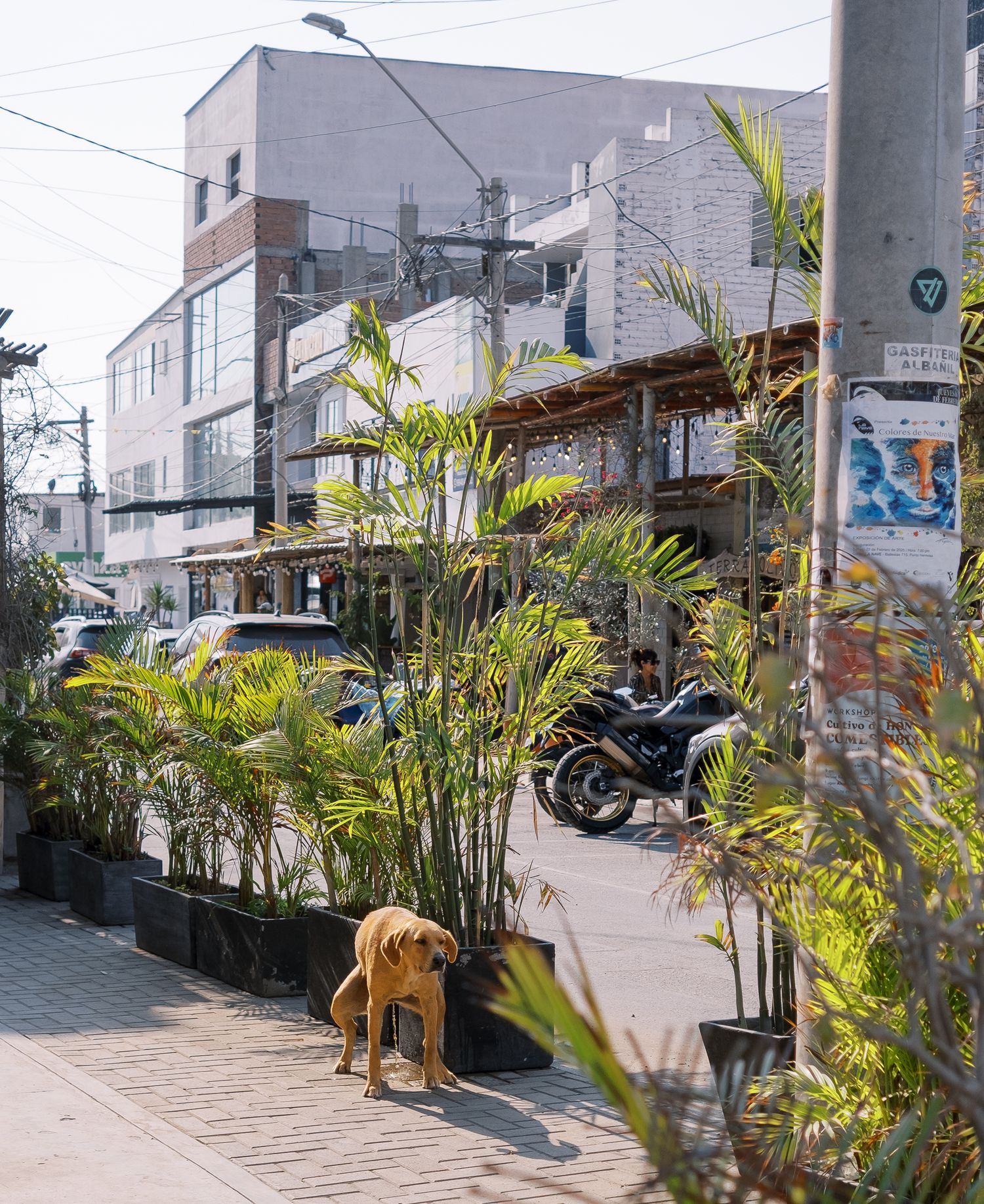 Alexandra Dillow Photography – Lima Peru street or market scene, fine art travel photography, documentary, Peru 2025