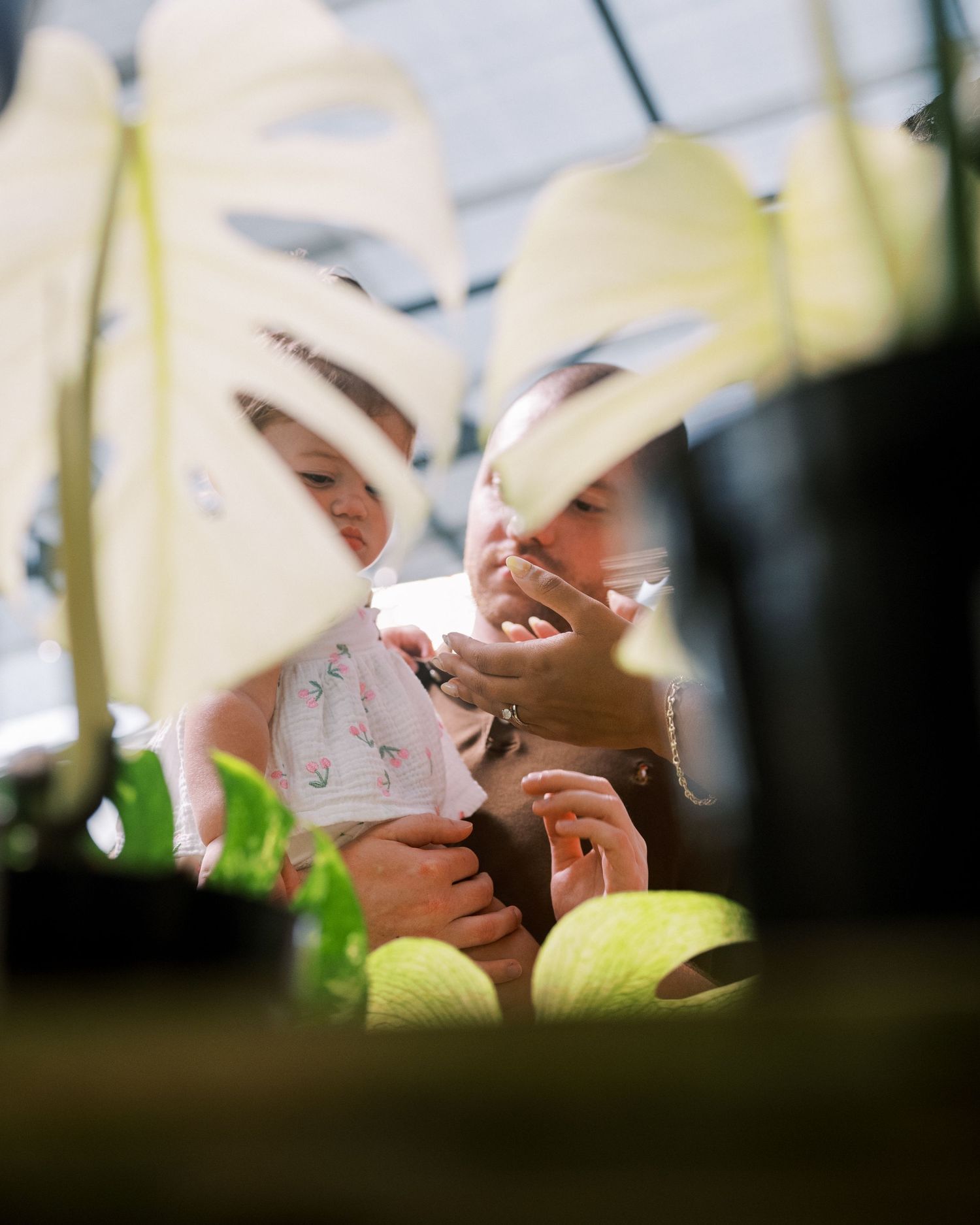 A romantic couple sharing an intimate moment viewed through foliage in soft natural lighting.