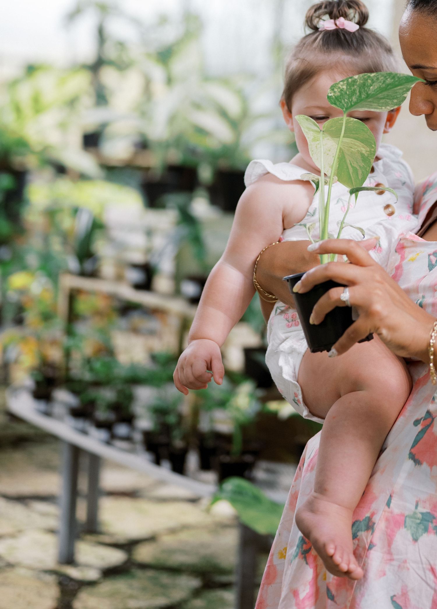 Small child in pink floral dress holds and examines a growing plant seedling in greenhouse setting.