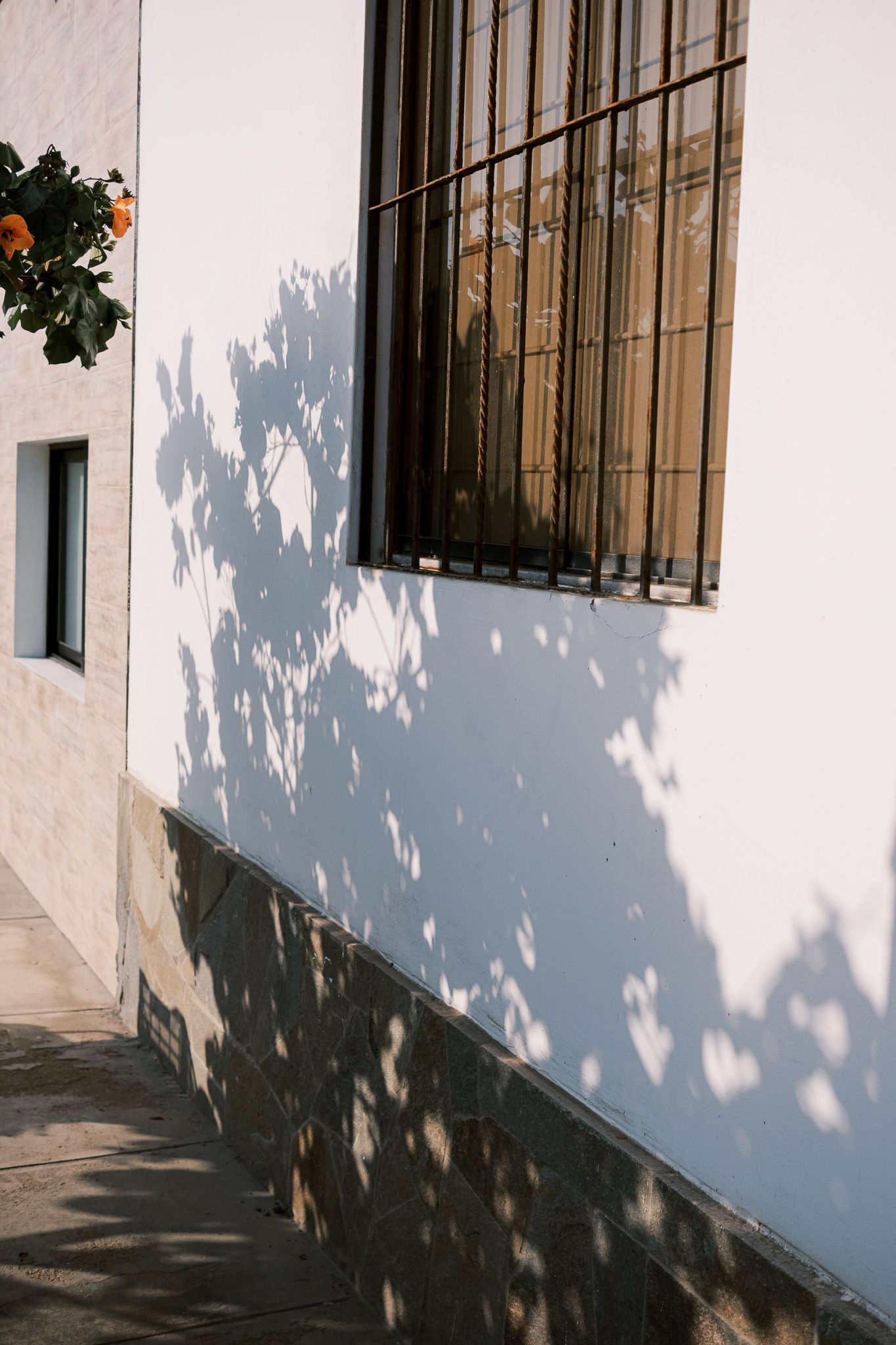 Shadows from tree branches cast dappled patterns on white stucco walls in a Mediterranean architectural setting.