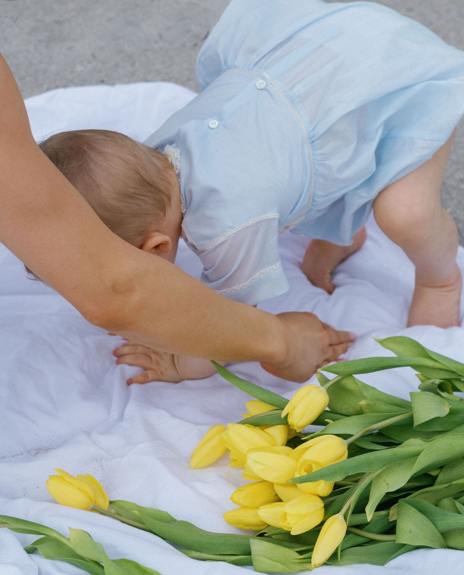 A series of yellow tulips laying on a white surface being arranged in a gentle, artistic manner.